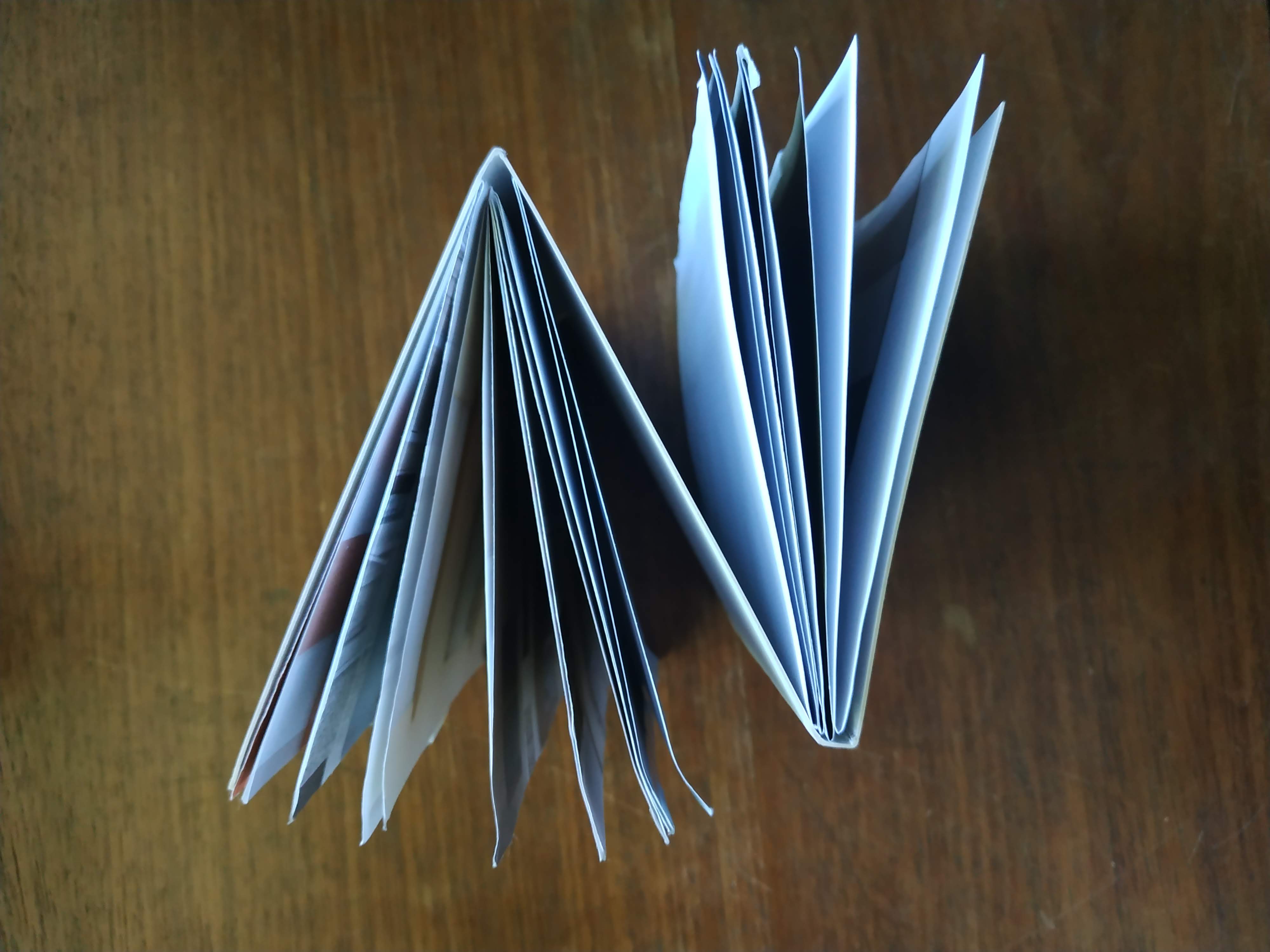 IMG_20181216_175944 - Letícia Lampert.jpg