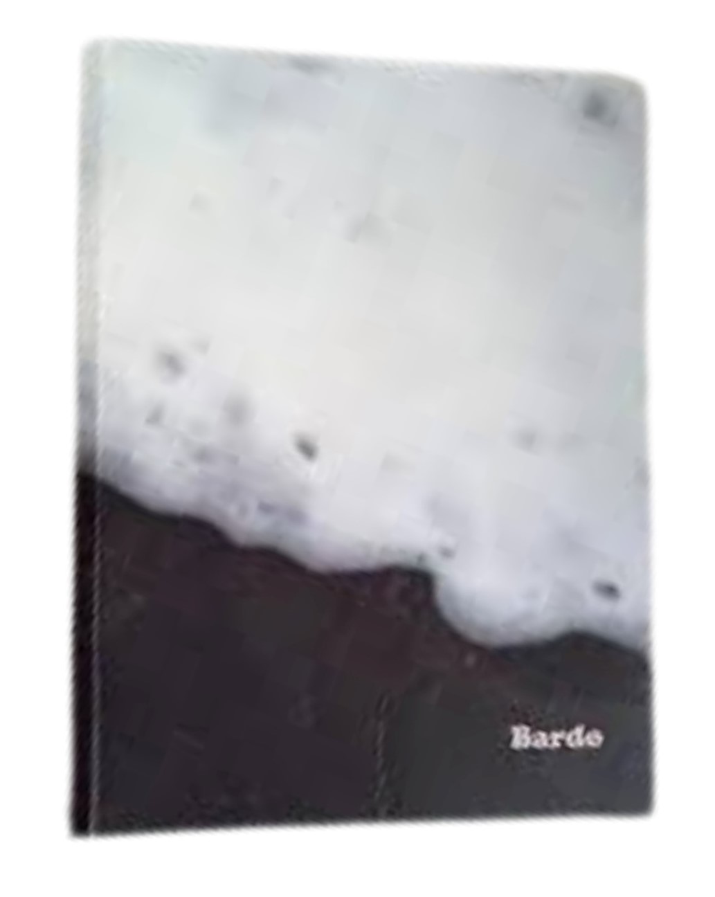 BARDO.jpg
