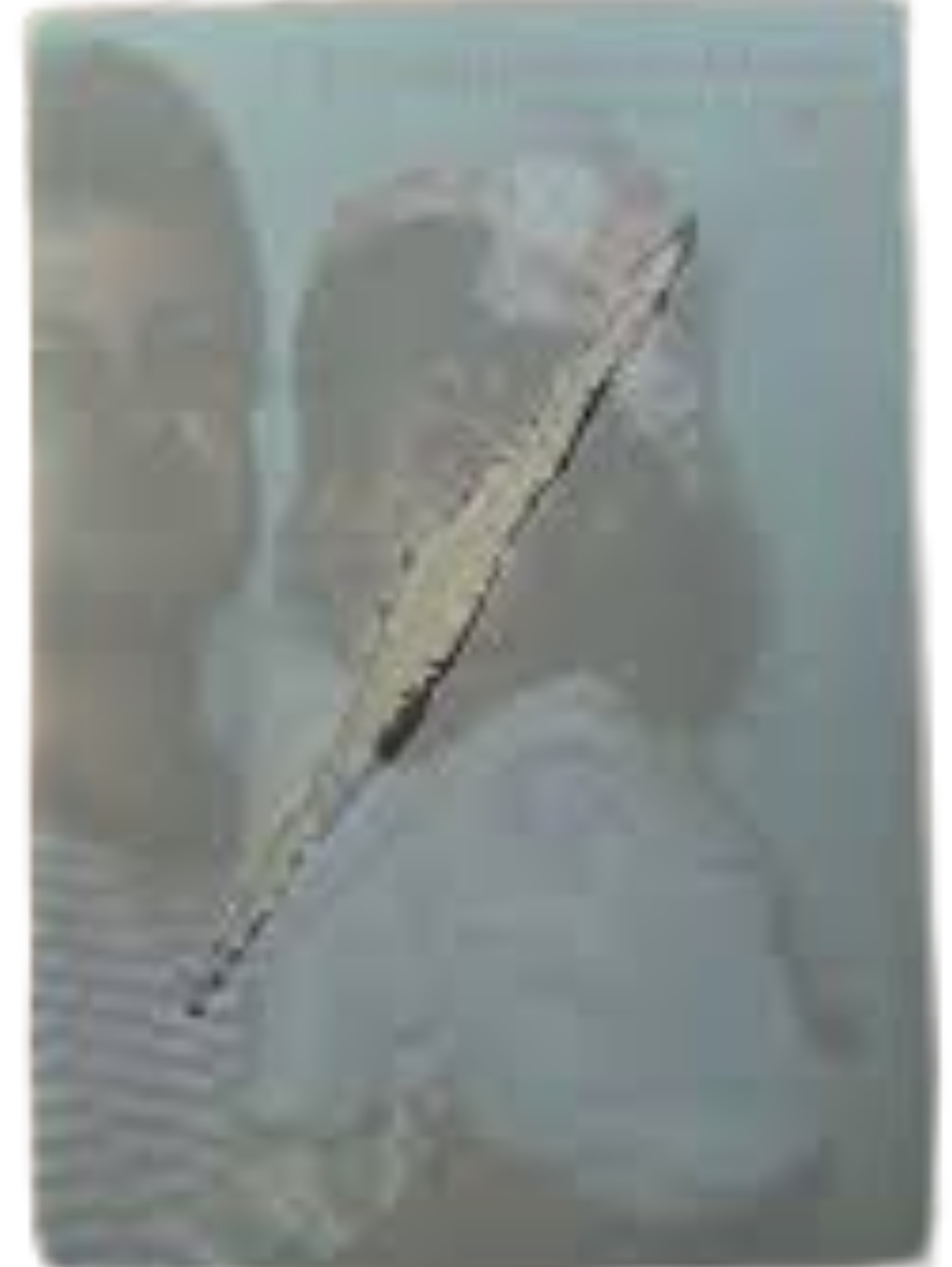 Design sem nome.jpg Design sem nome.jpg