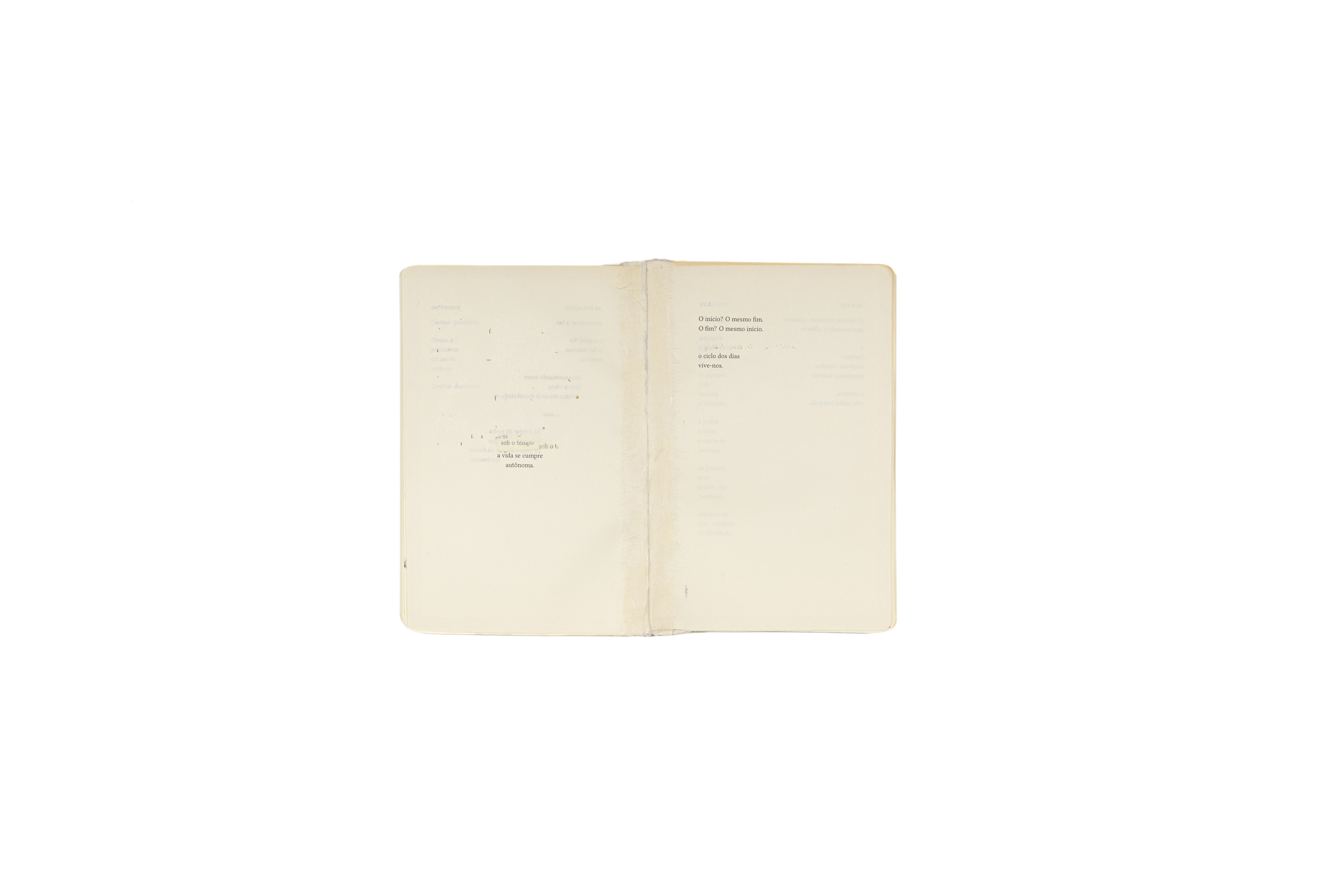 RT_20240229_0068 - juliana monteiro.jpg