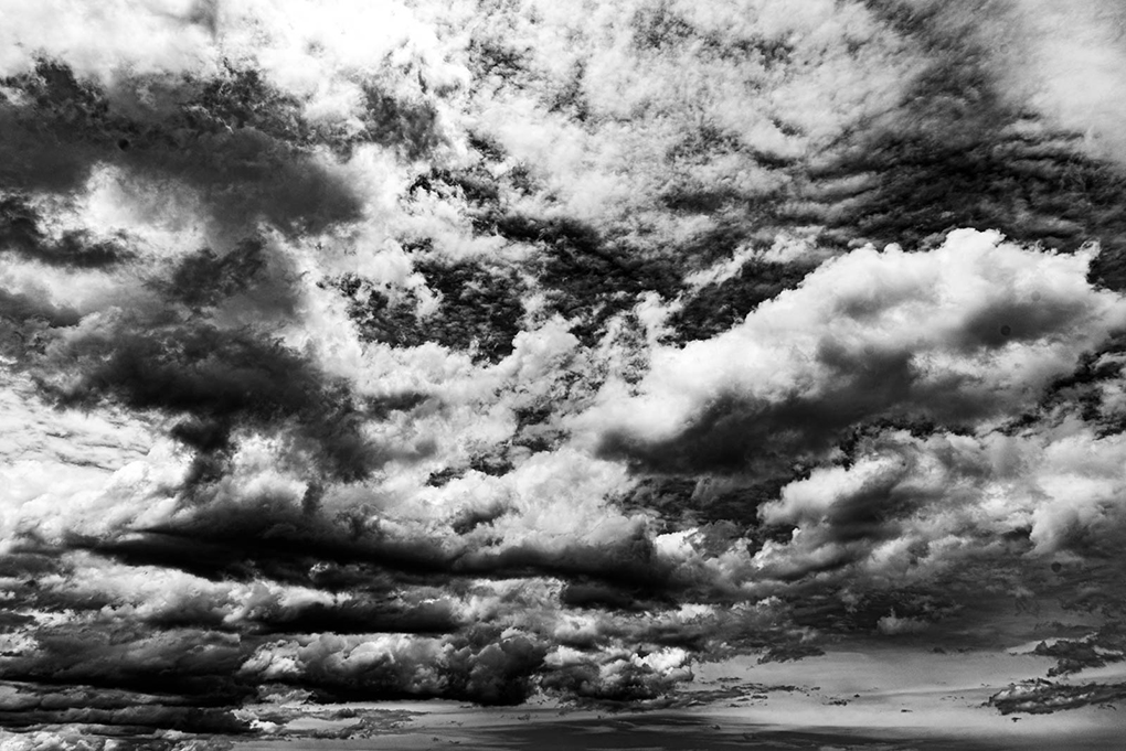 F - Claudia Bonder.jpg