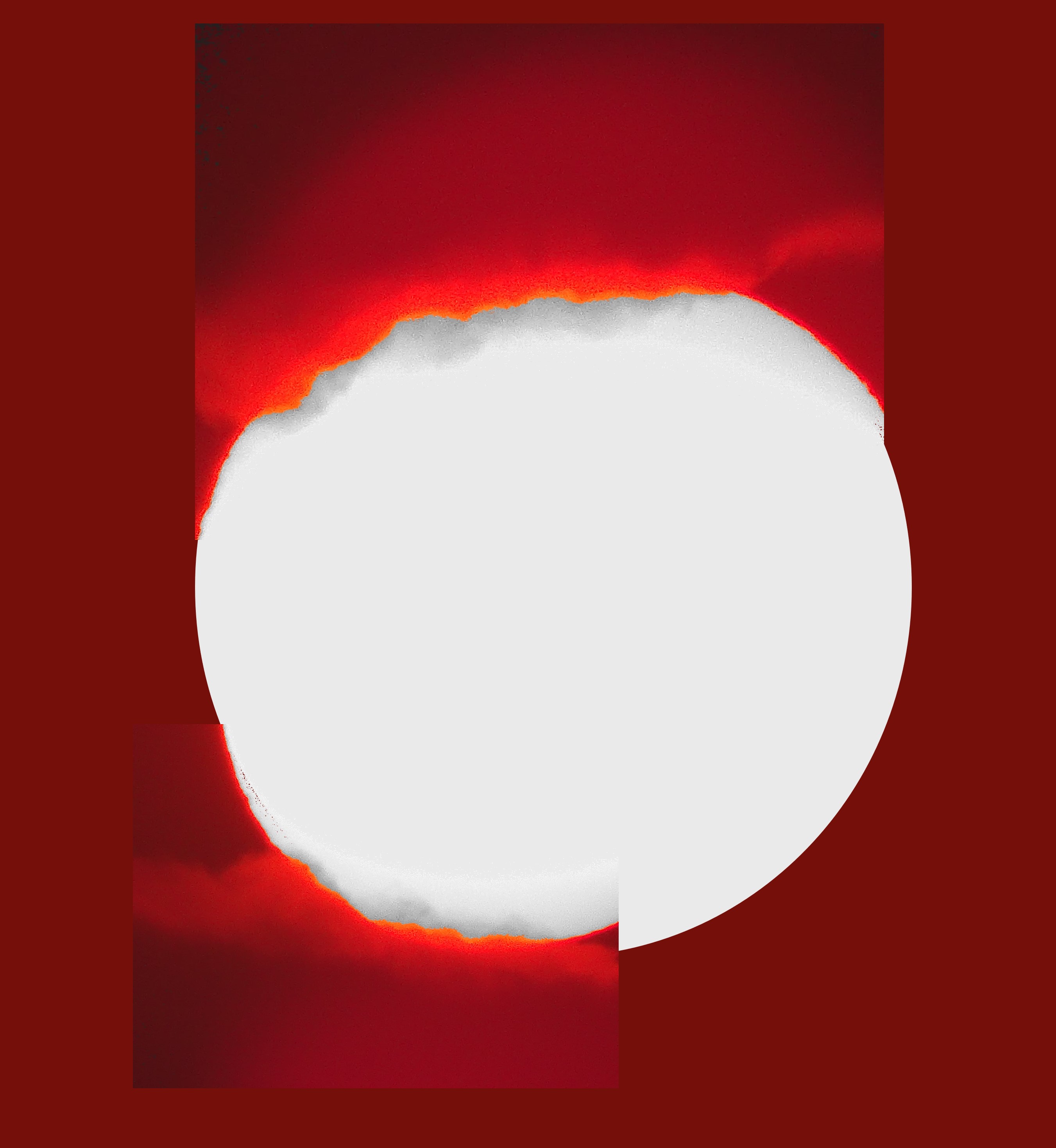 Zeila Sardá_03_vermelho.jpg