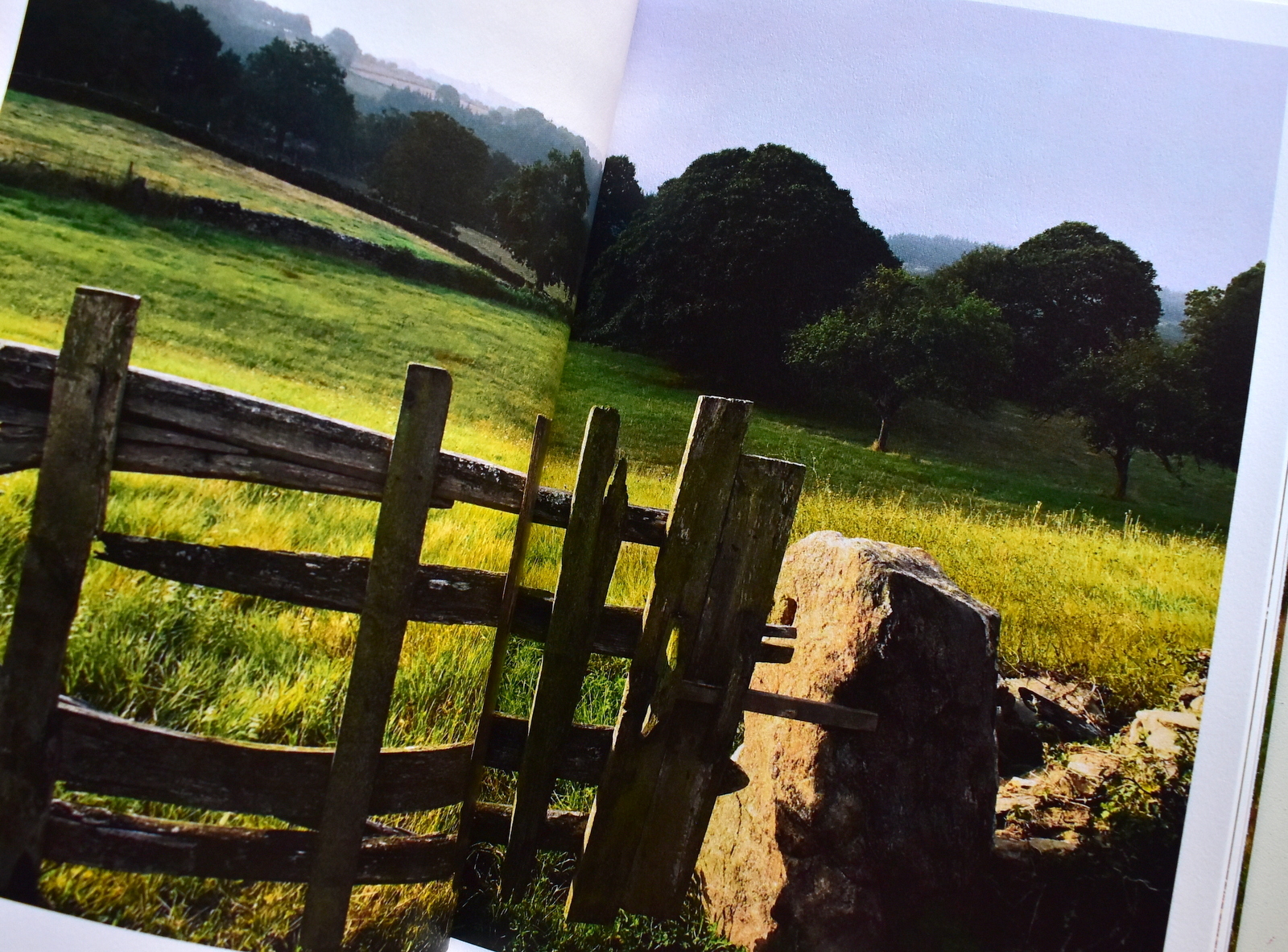 En silencio Floki GAUVRY (9).JPG