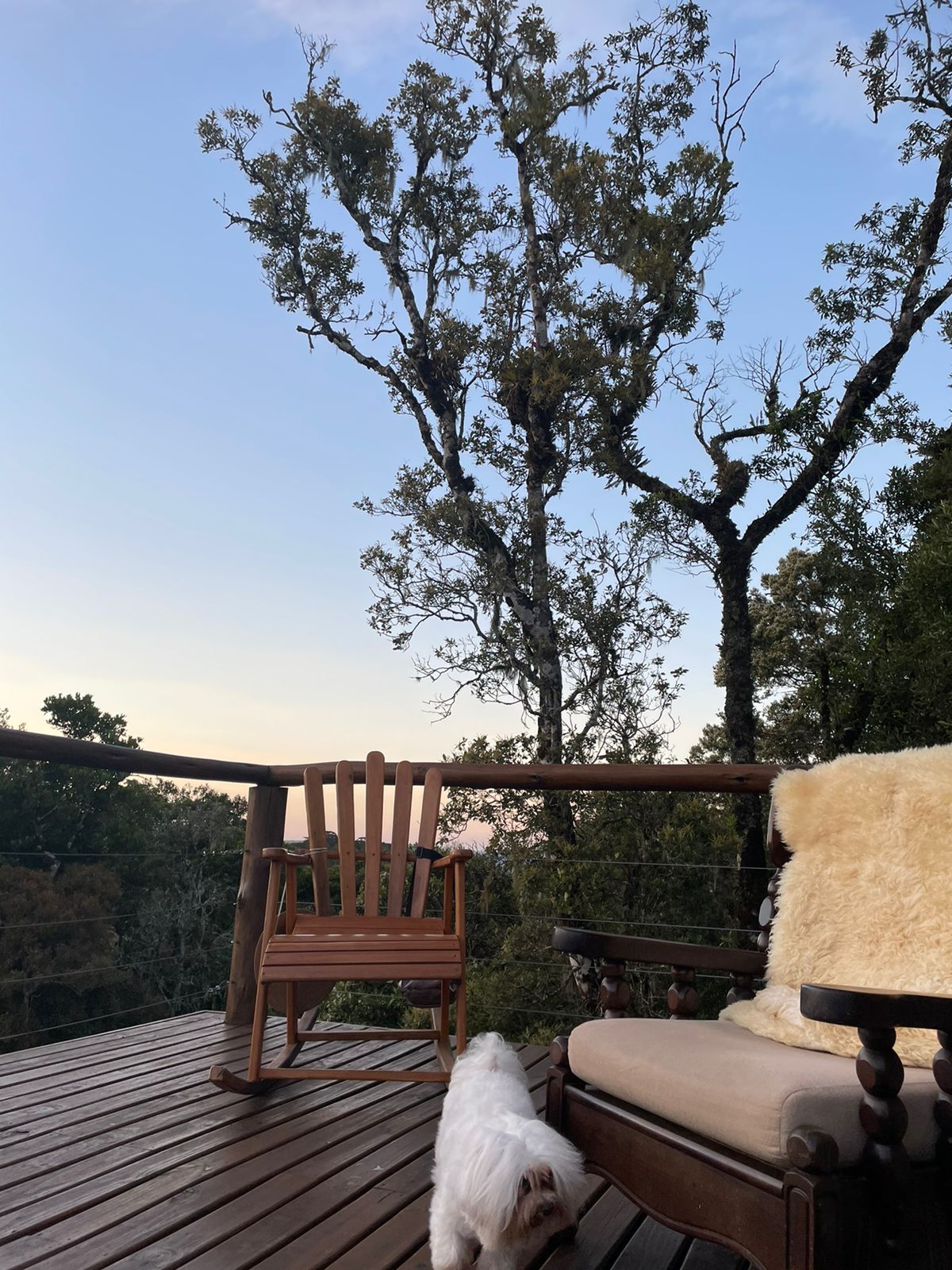 WhatsApp Image 2022-06-08 at 09.14.04 (1).jpeg