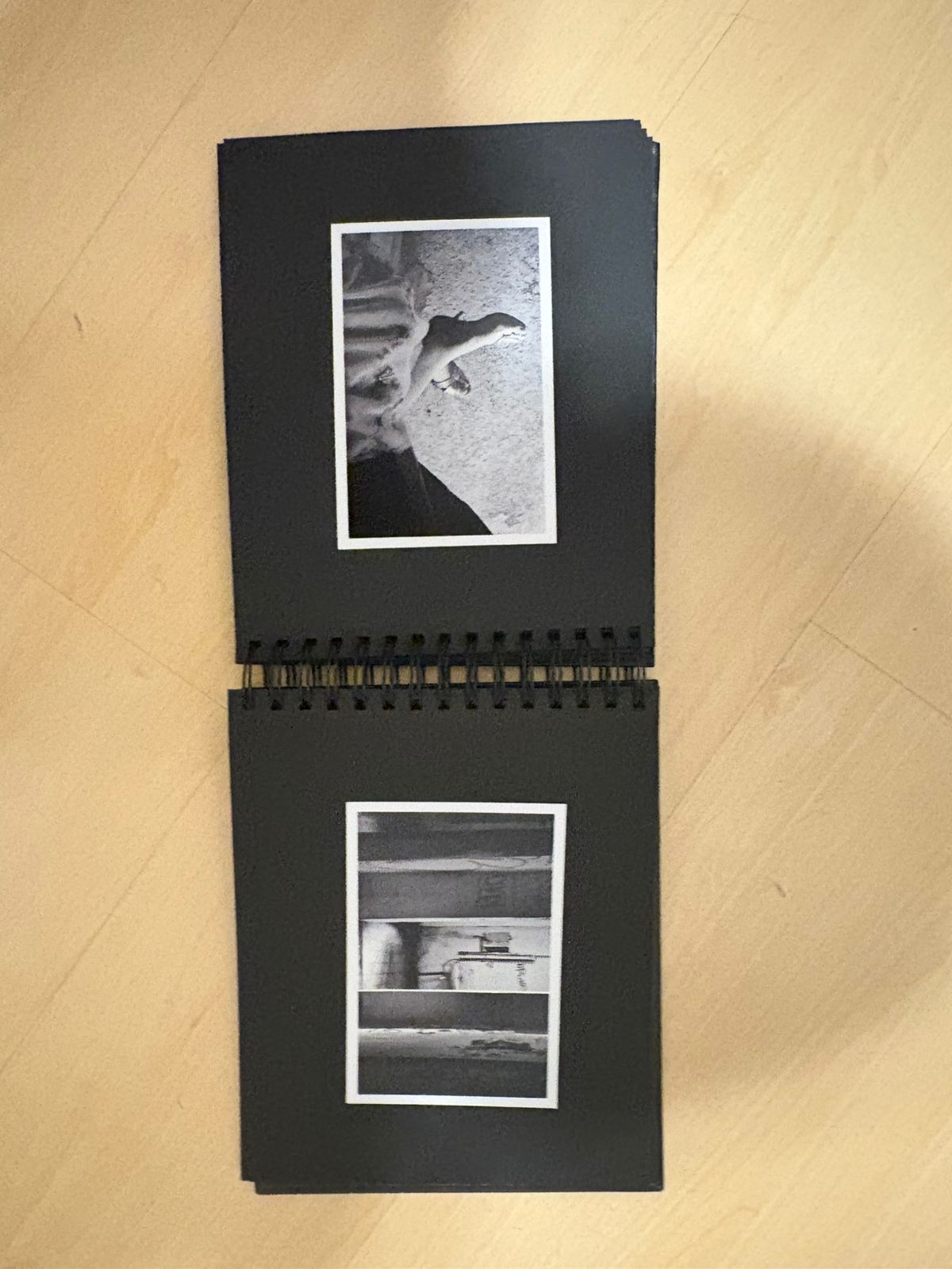 WhatsApp Image 2025-08-07 at 00.37.21 (1) - Ana Beatriz.jpeg