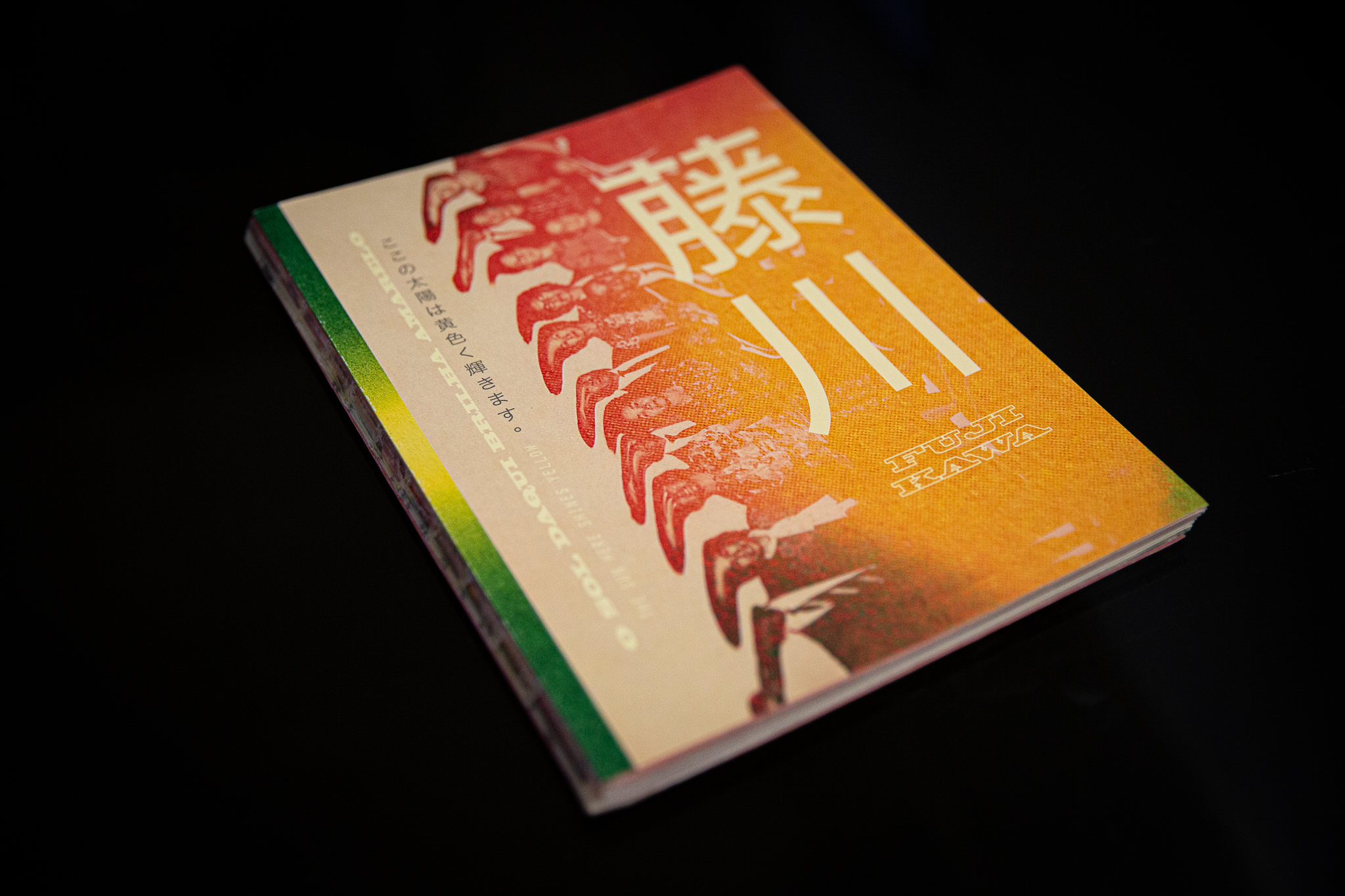 Fujikawa-1 - Henrique Fujikawa.jpg