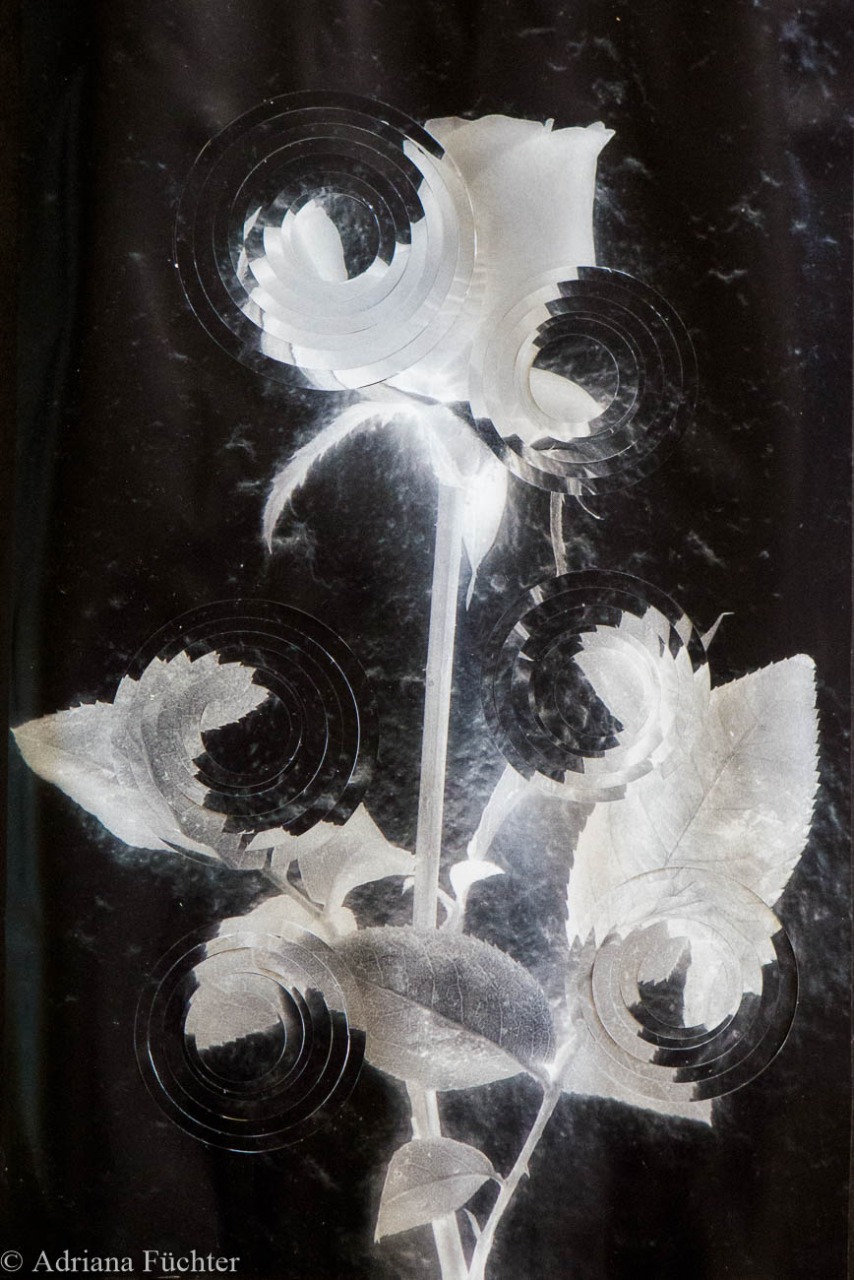 Adriana Füchter (3).jpeg