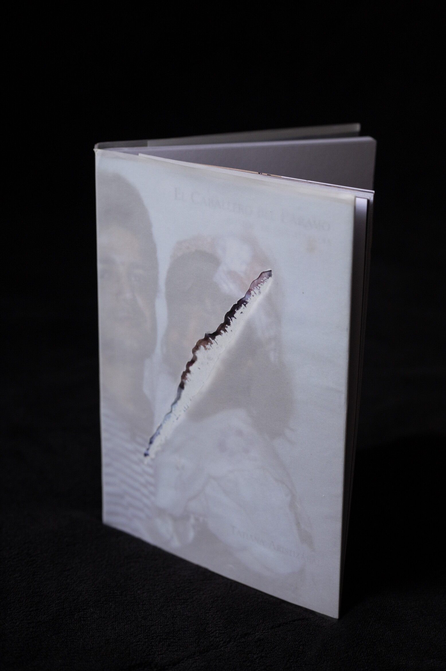 Fotolibro - El Caballero del Páramo (3) - Tatiana Aristizábal Zuluaga.jpg