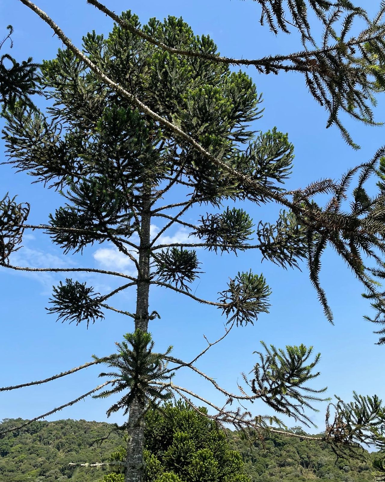 WhatsApp Image 2022-06-08 at 09.13.54.jpeg