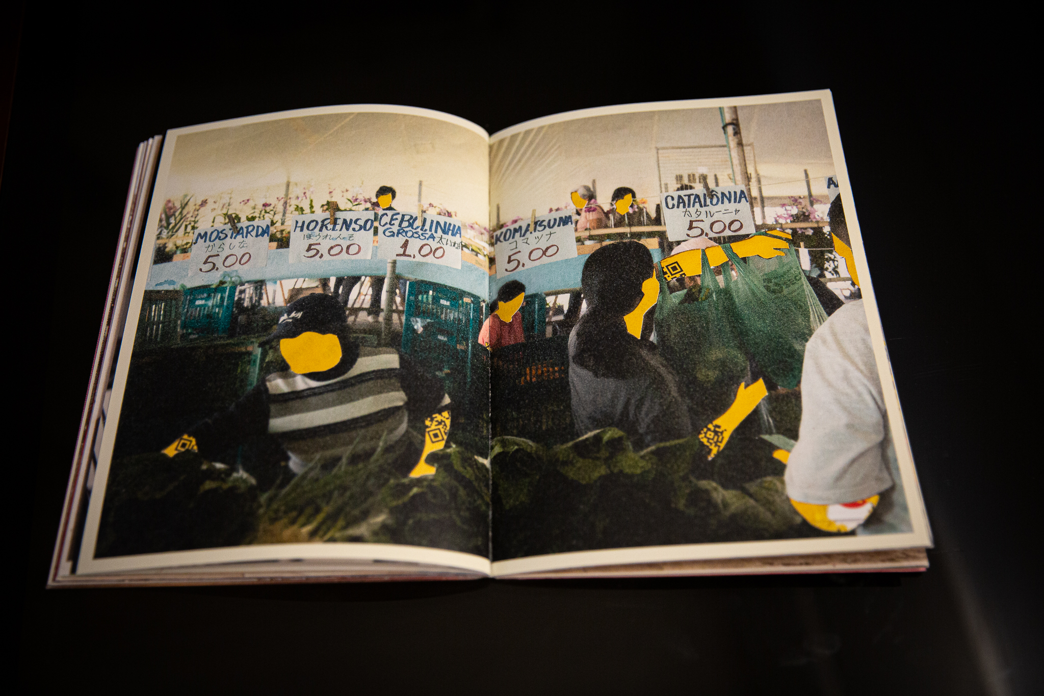 Fujikawa-57 - Henrique Fujikawa.jpg