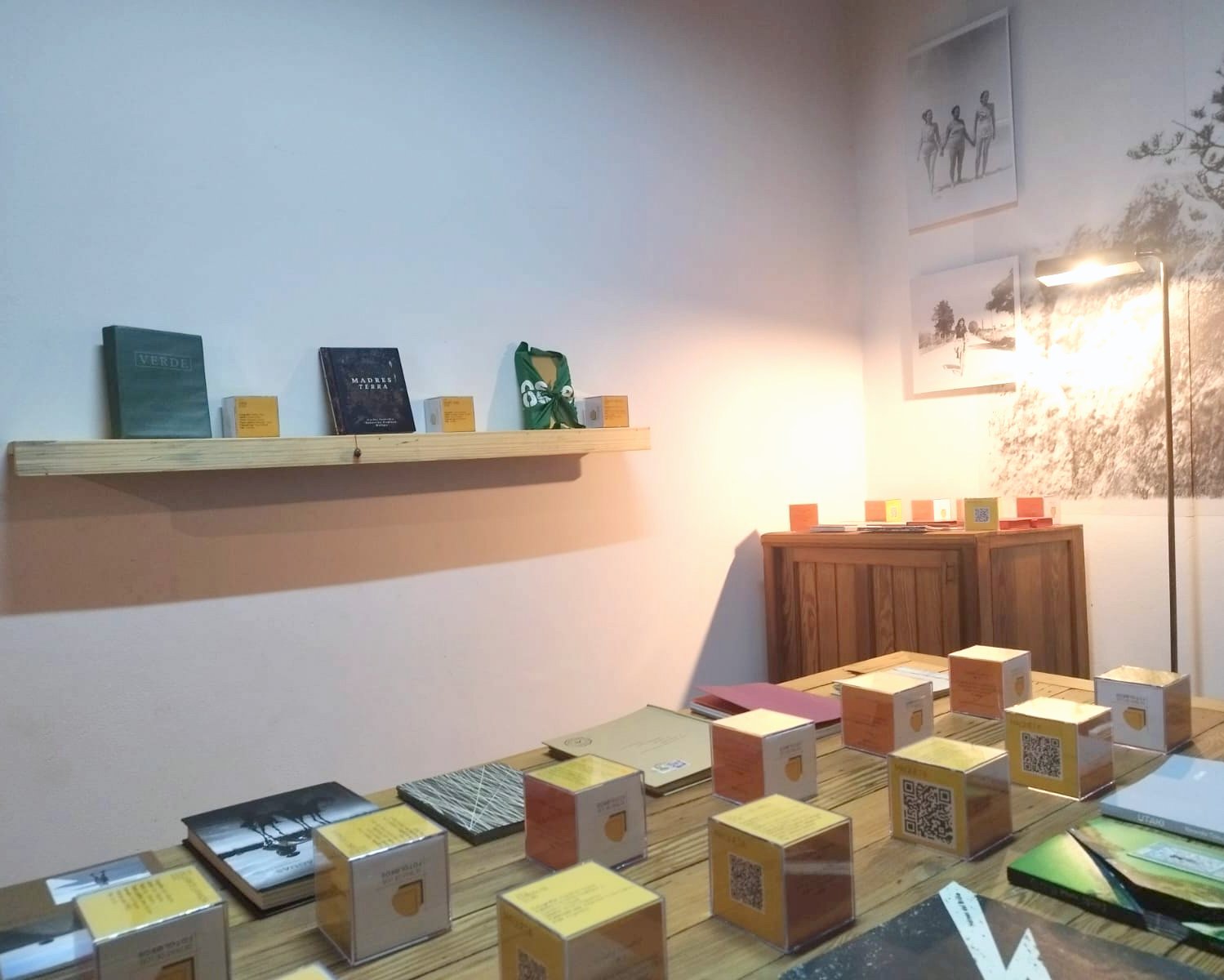 WhatsApp Image 2024-12-05 at 10.17.30.jpg