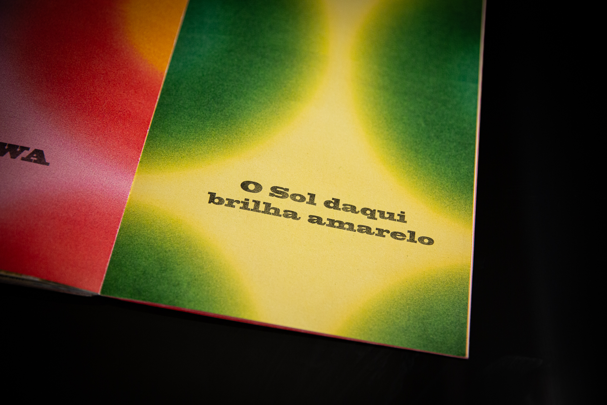 Fujikawa-69 - Henrique Fujikawa.jpg