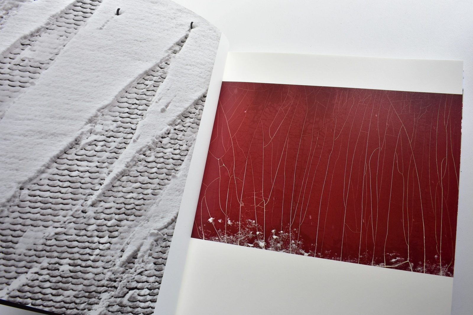 El peso del corazón 1 (13).JPG