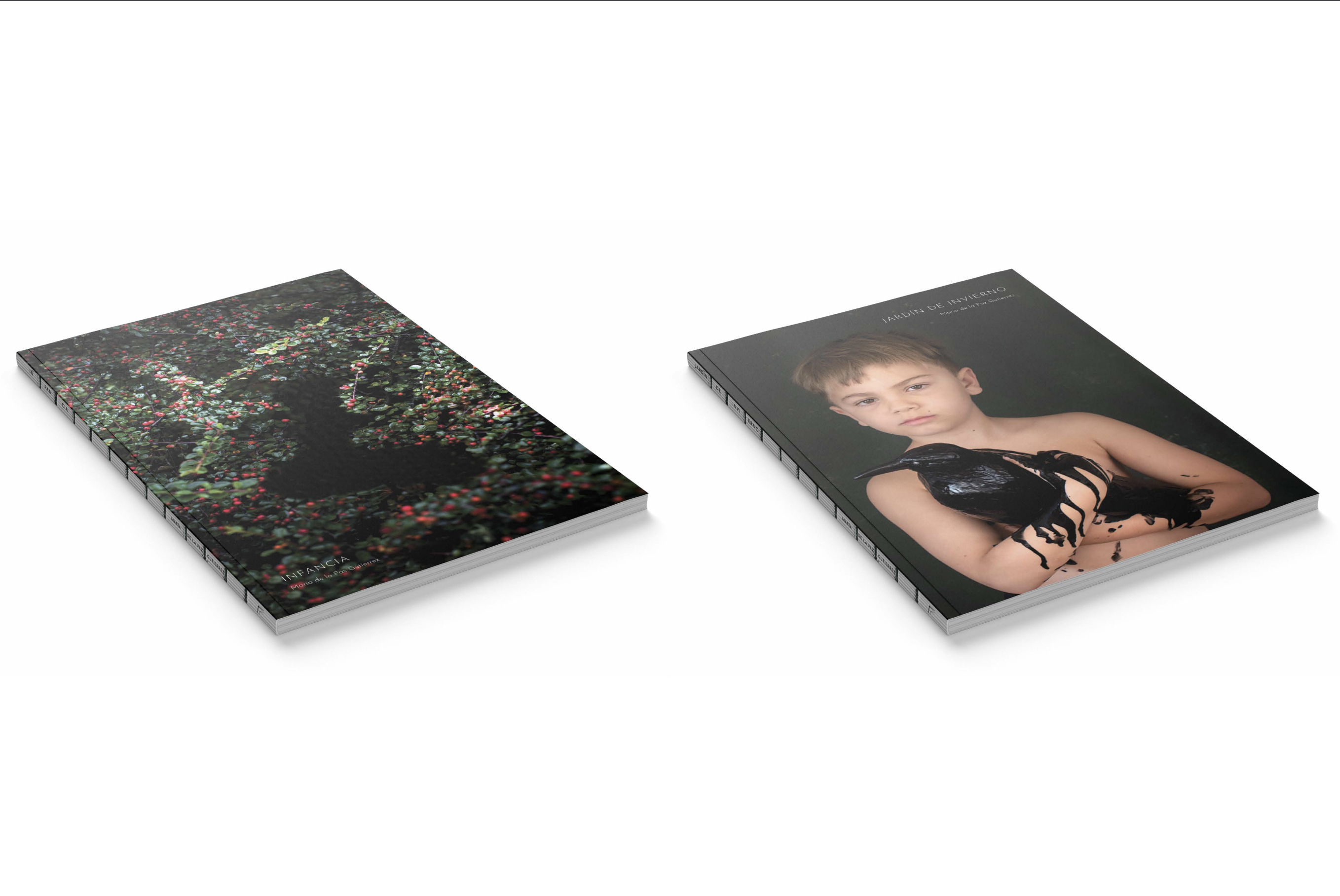 libros2 - Mariade la Paz Gutierrez.jpg