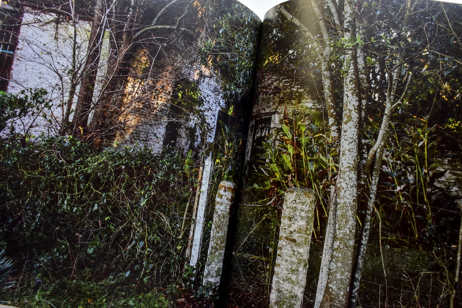 El peso del corazón 1 (36).JPG