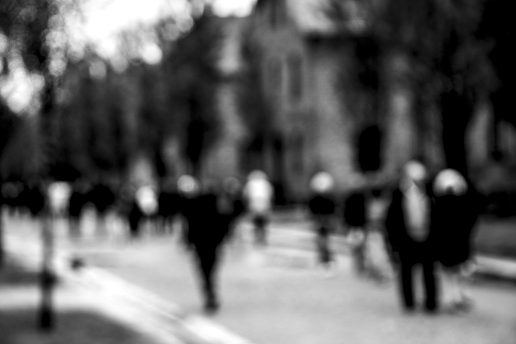 C- - Claudia Bonder.jpg