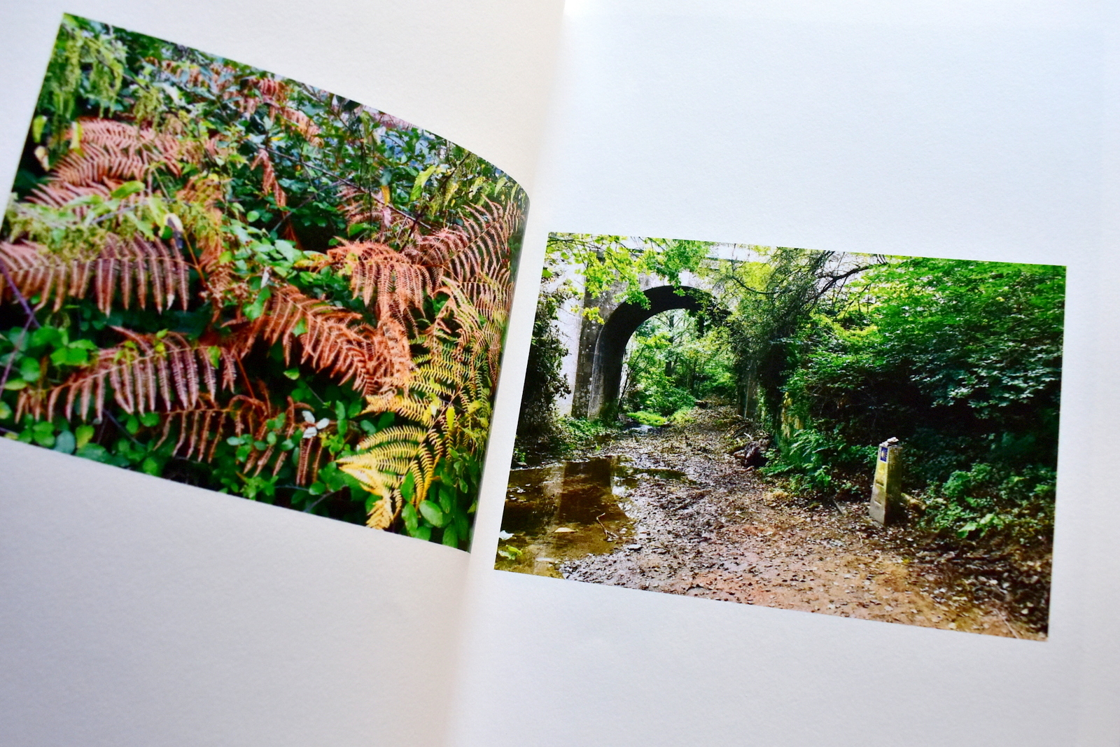 En silencio Floki GAUVRY (7).JPG