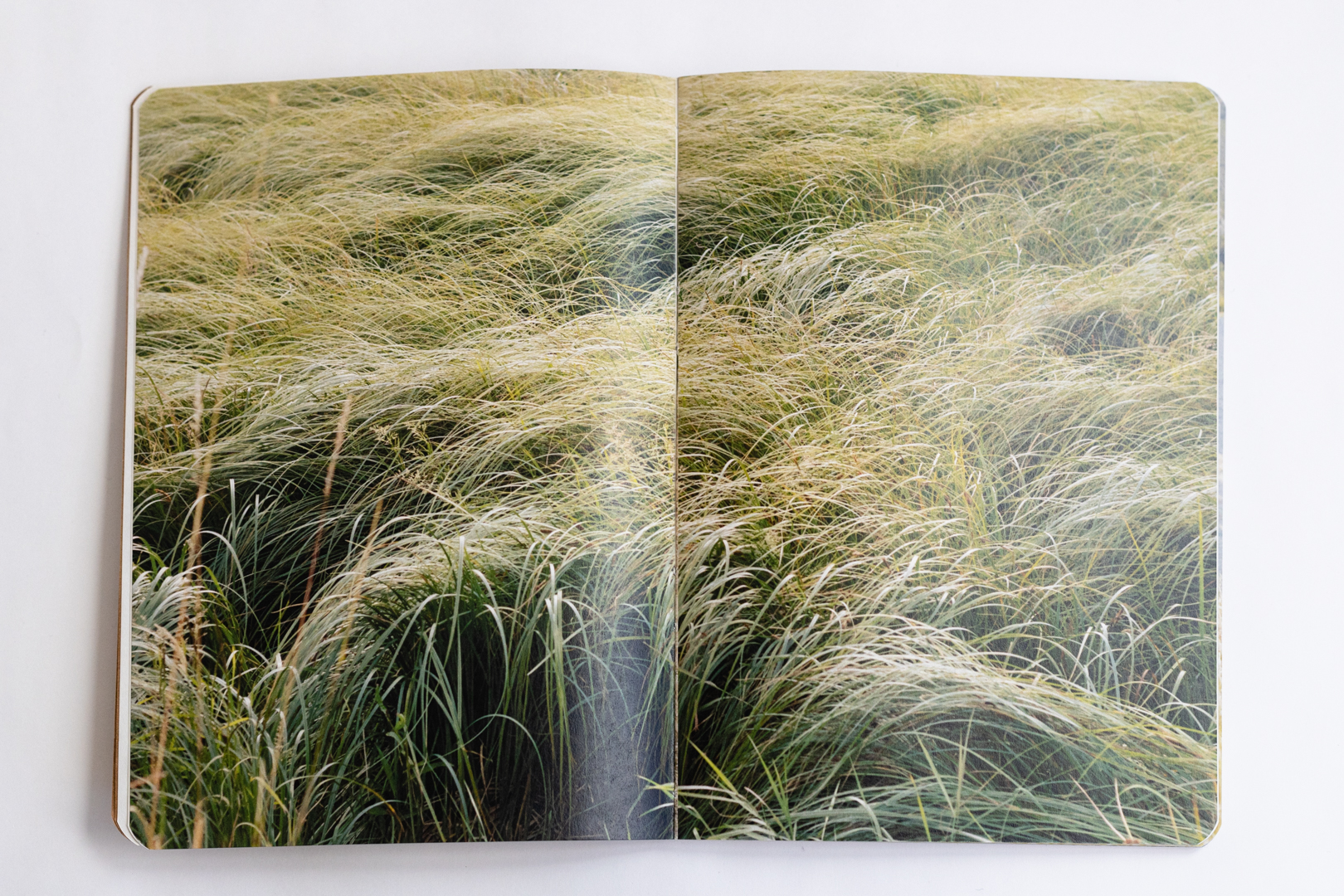 dosveranosyuninvierno-0004 - Mateo Arcentales.jpg