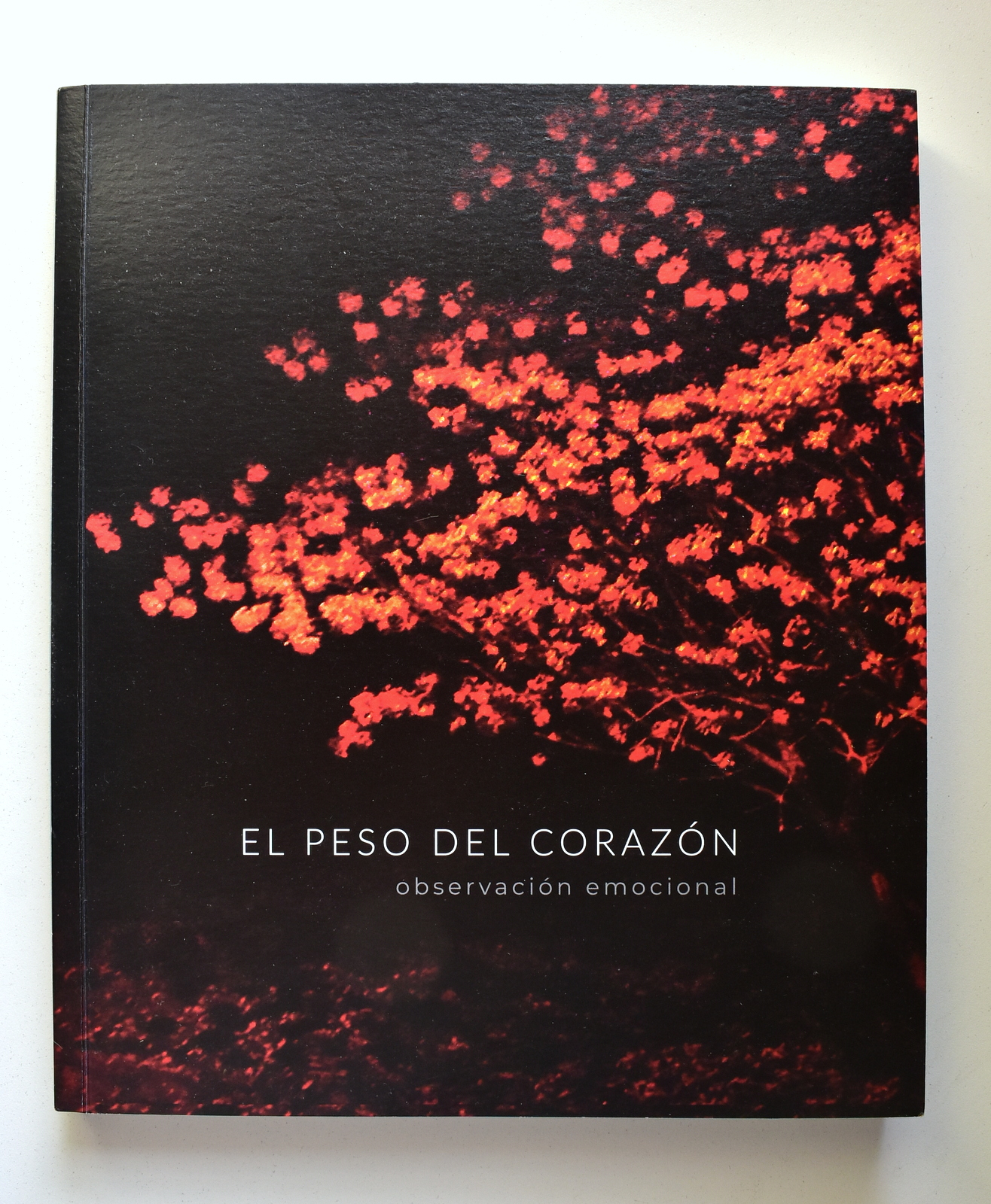 el peso del corazón VOTROVA.JPG