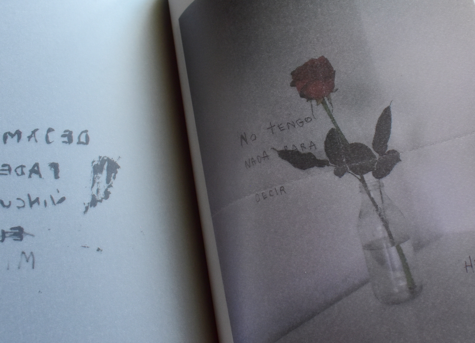 Samall scarse (10).JPG