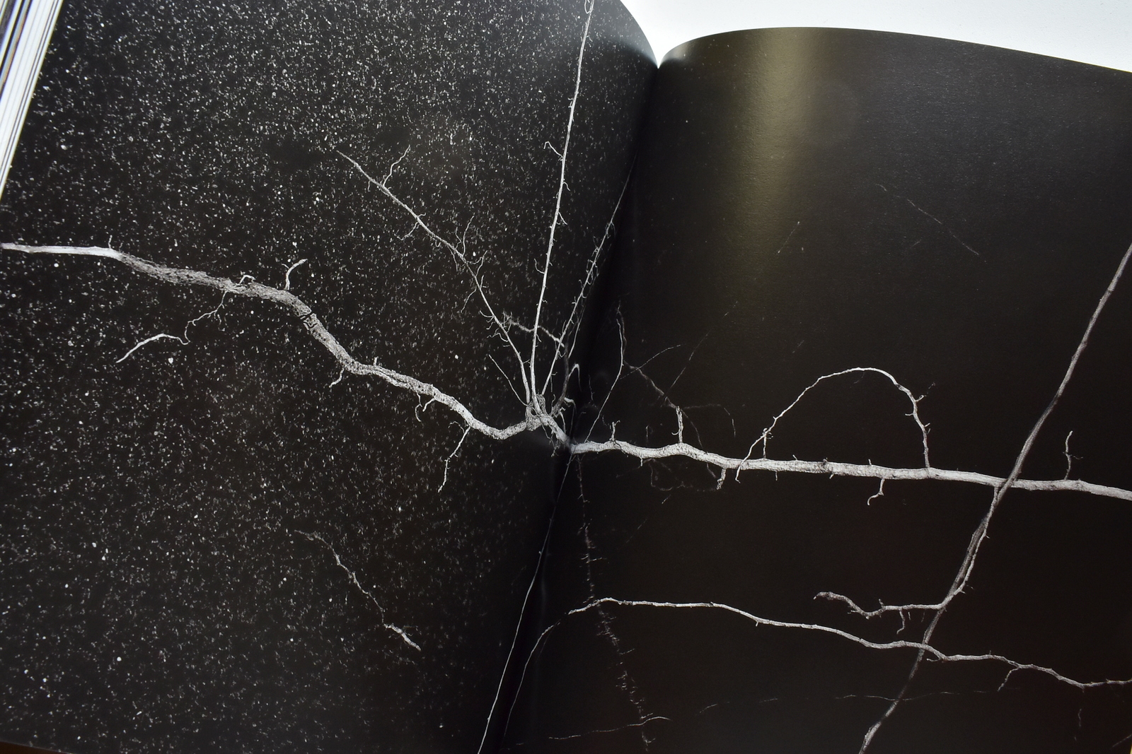 El peso del corazón 1 (40).JPG