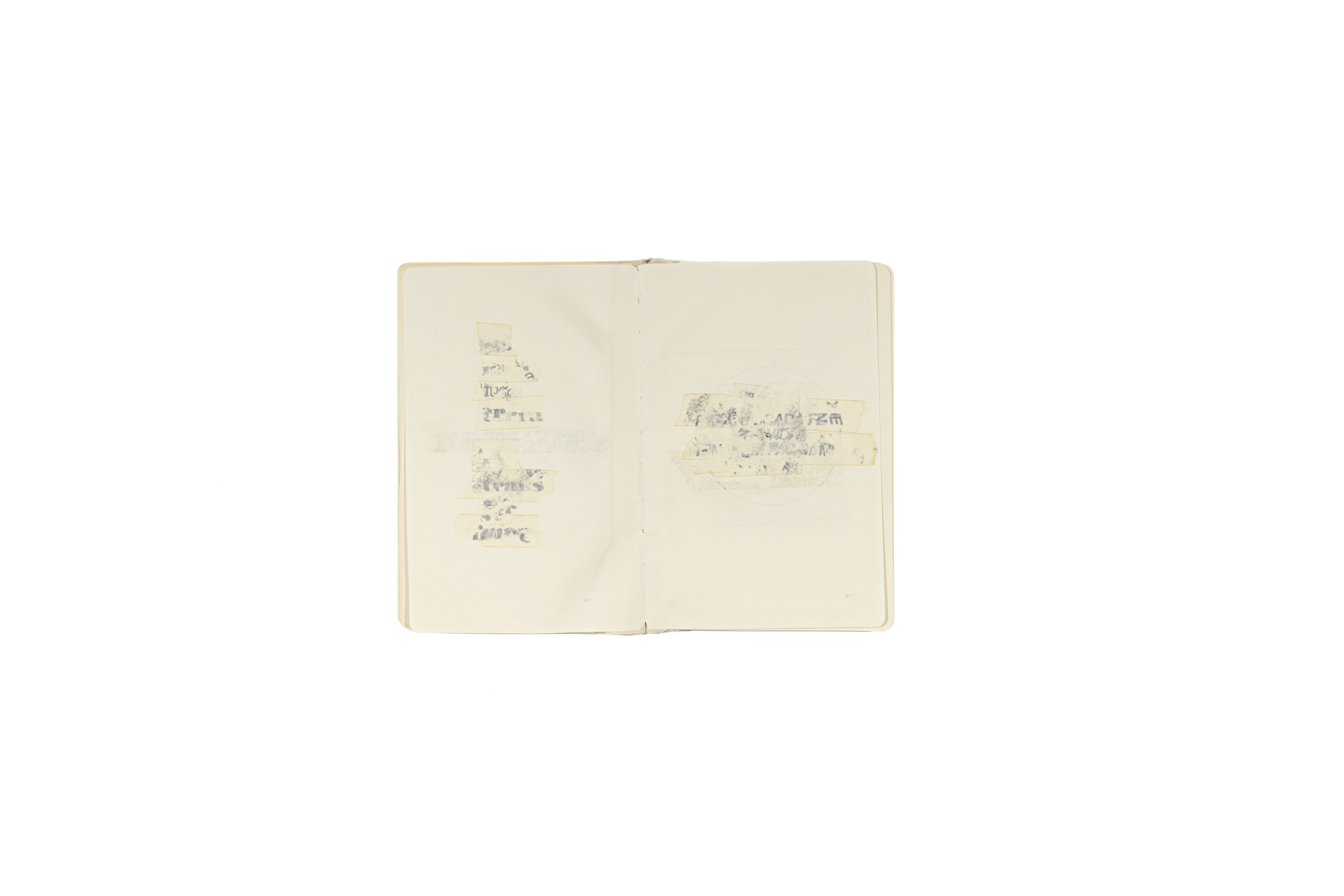 RT_20240229_0069 - juliana monteiro.jpg