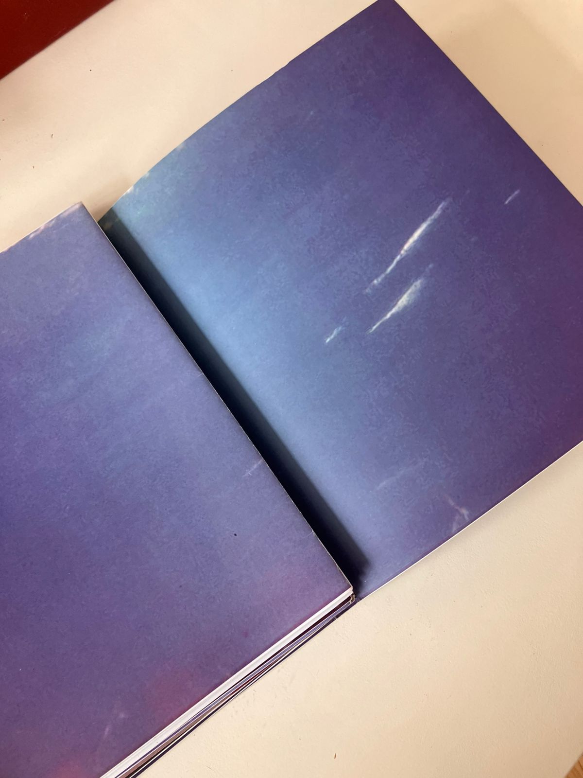 WhatsApp Image 2025-09-24 at 12.41.36 PM - Flor Aletta.jpeg