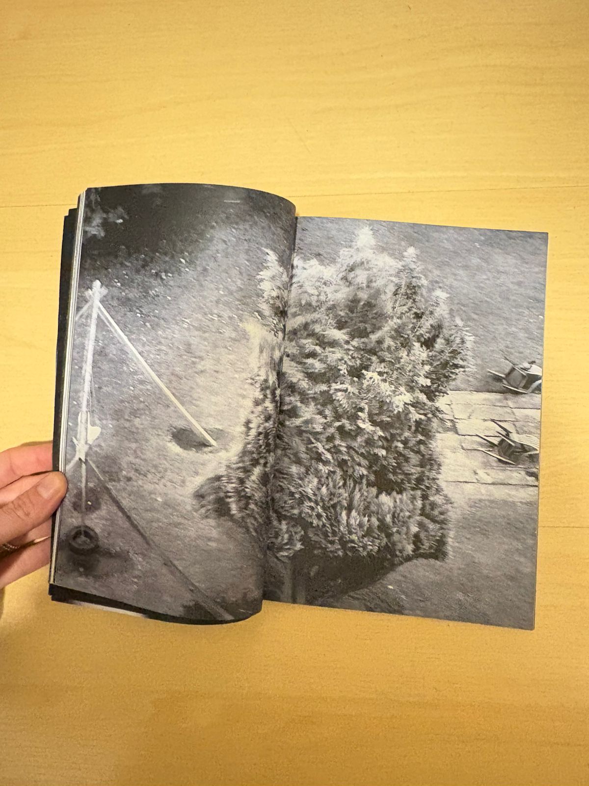 WhatsApp Image 2025-08-07 at 00.37.25 - Ana Beatriz.jpeg