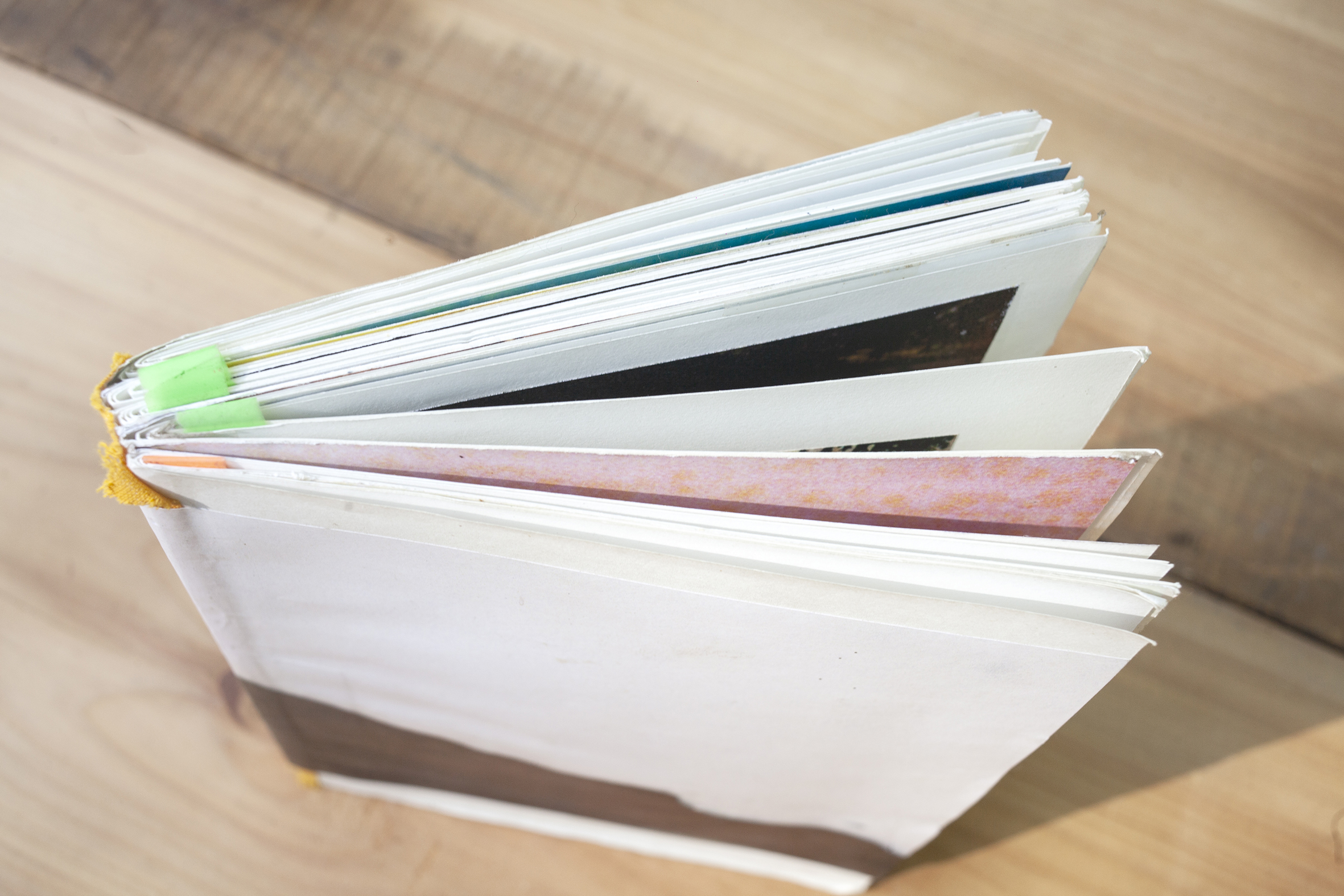 _MG_1653 - Lucila Victoria Heinberg.jpg