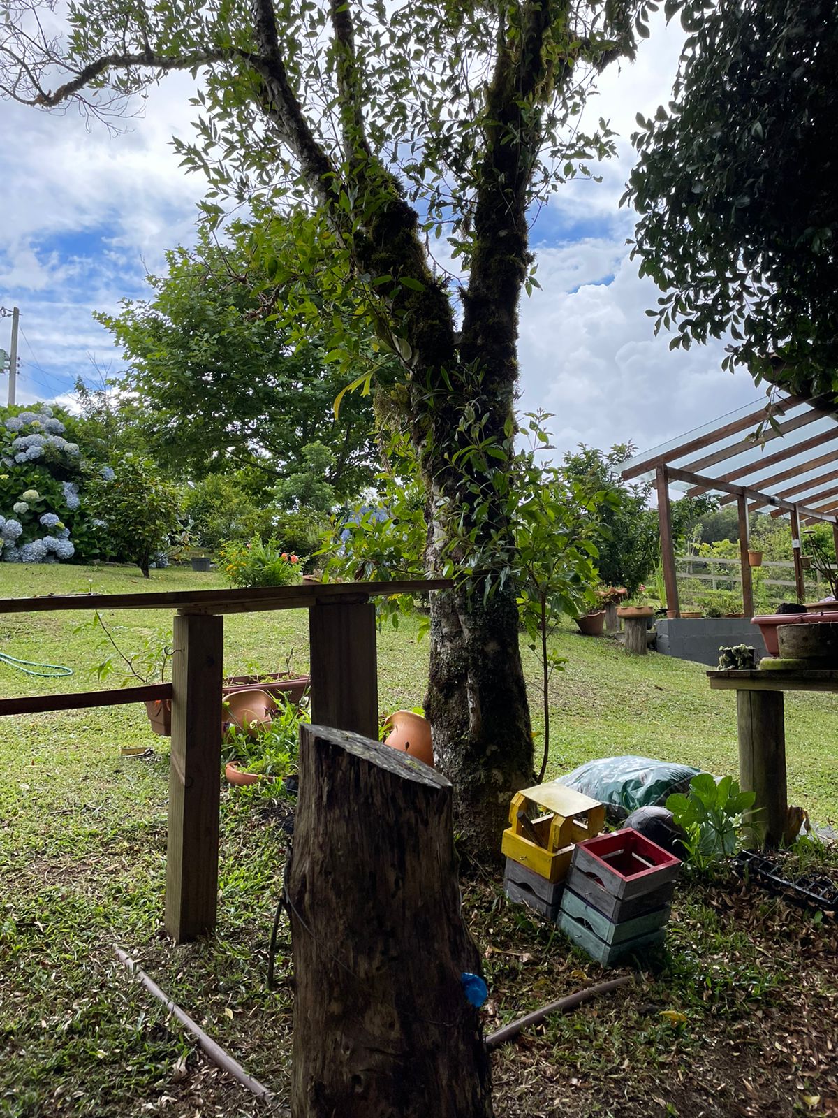 WhatsApp Image 2022-06-08 at 09.14.04 (3).jpeg