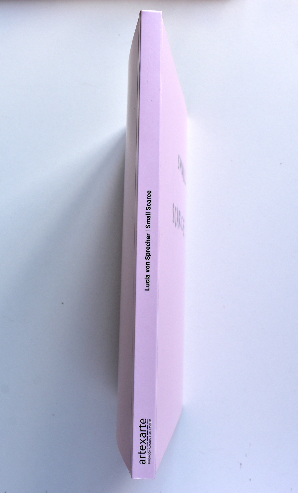 Samall scarse (16).JPG