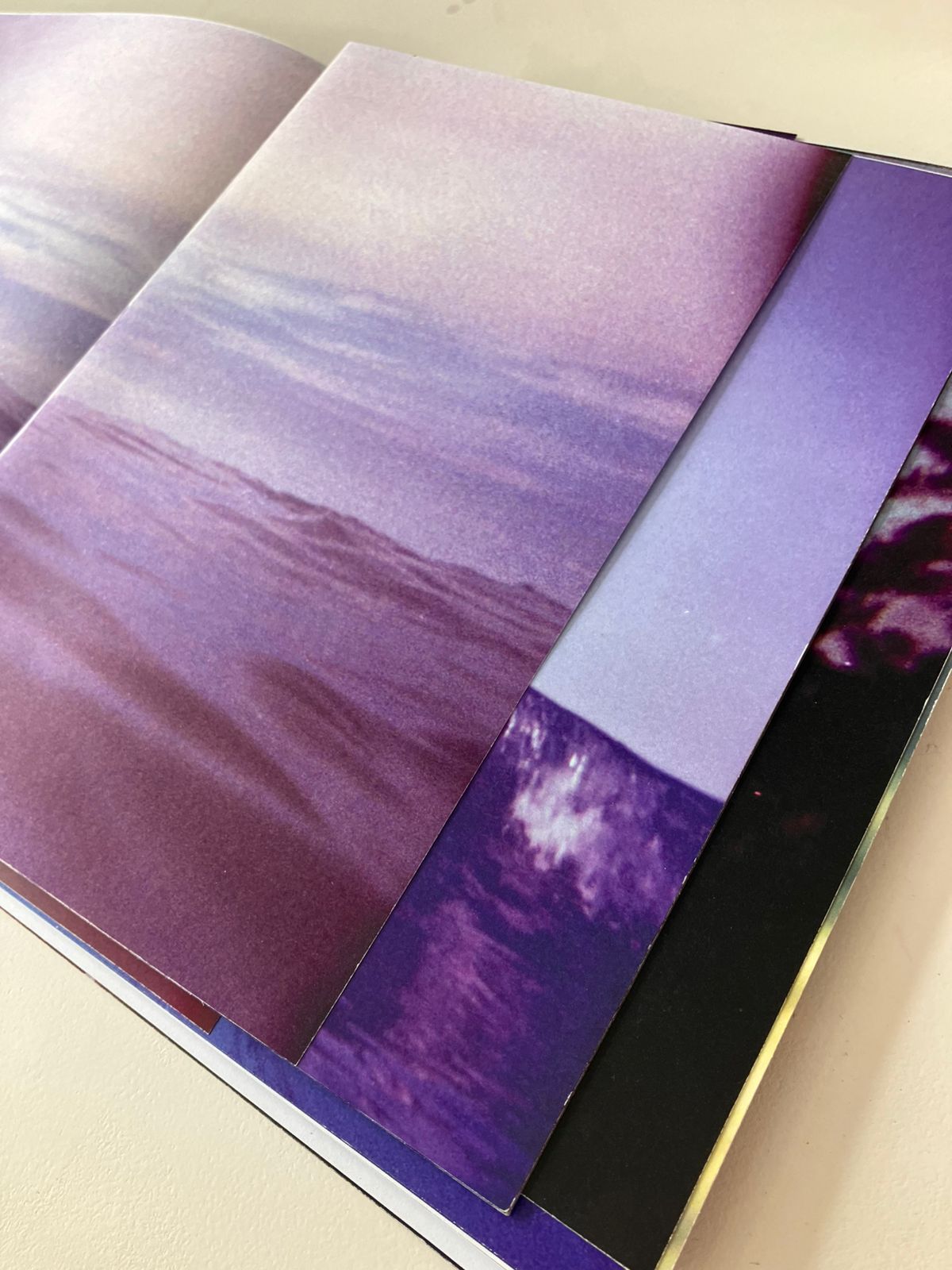 WhatsApp Image 2025-09-24 at 12.41.36 PM (1) - Flor Aletta.jpeg