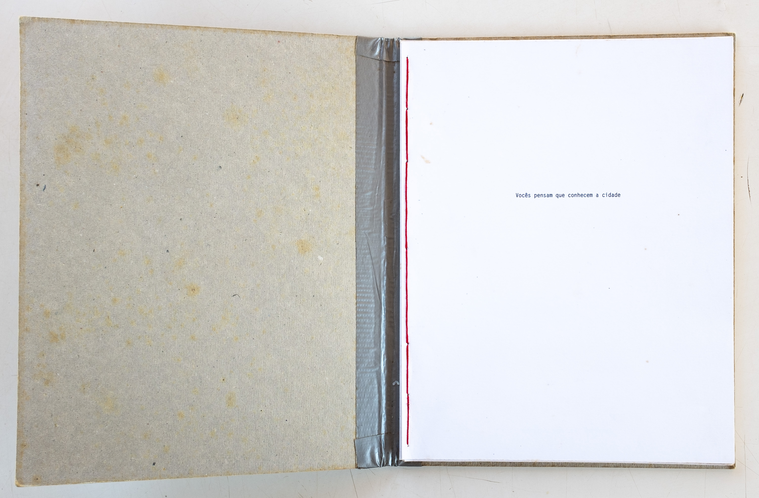 _PDD6256 - Pedro David.jpg