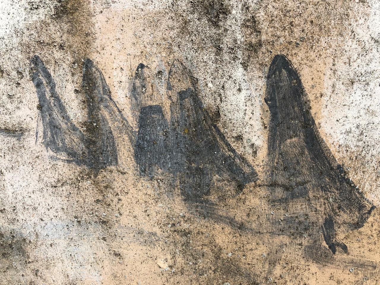 Catarina Rüdiger (1).jpeg