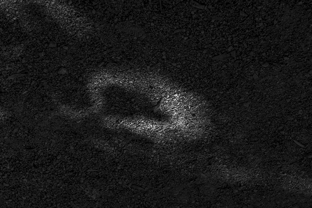 A - Claudia Bonder.jpg