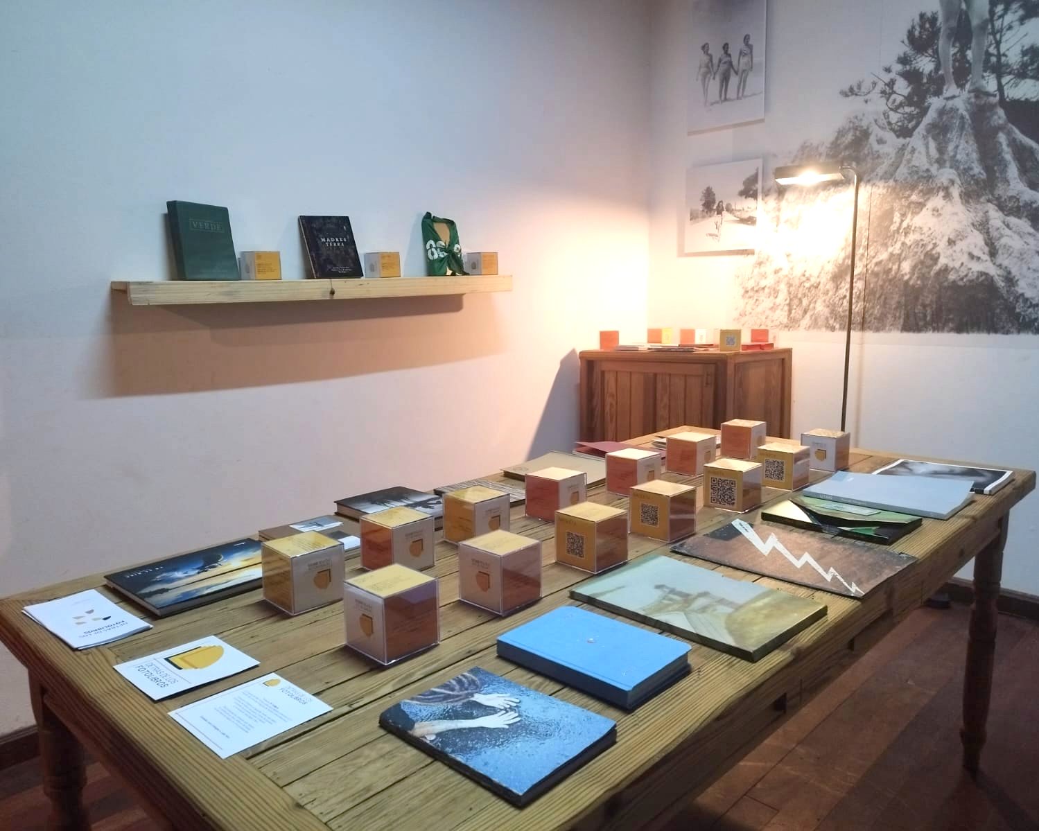 WhatsApp Image 2024-12-05 at 10.17.28 (1).jpg