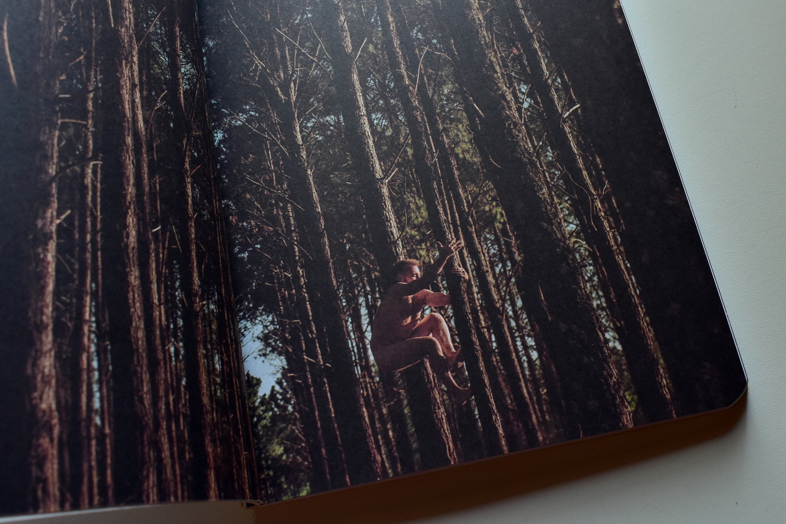 es un placer (5).JPG