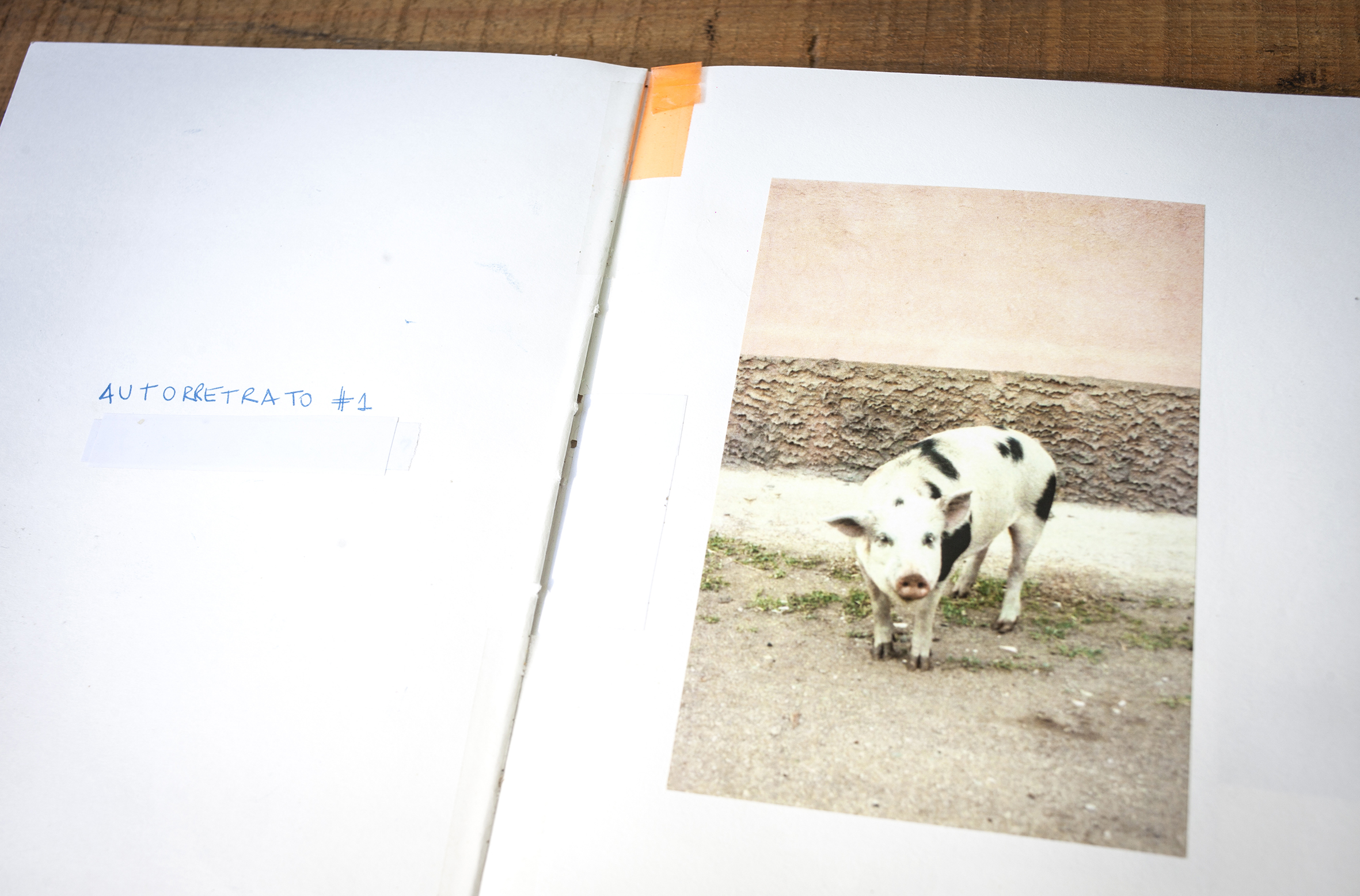 _MG_1655 - Lucila Victoria Heinberg.jpg