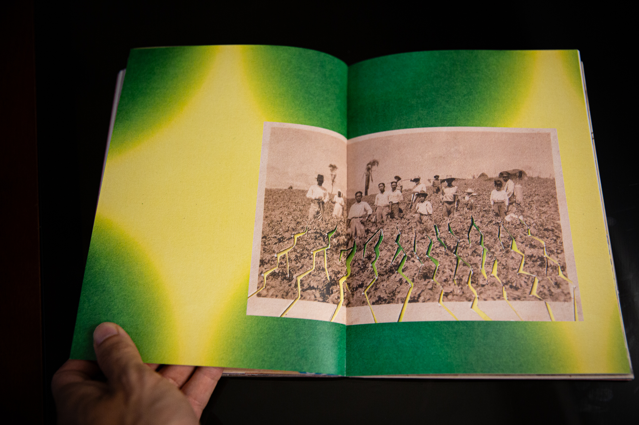 Fujikawa-54 - Henrique Fujikawa.jpg