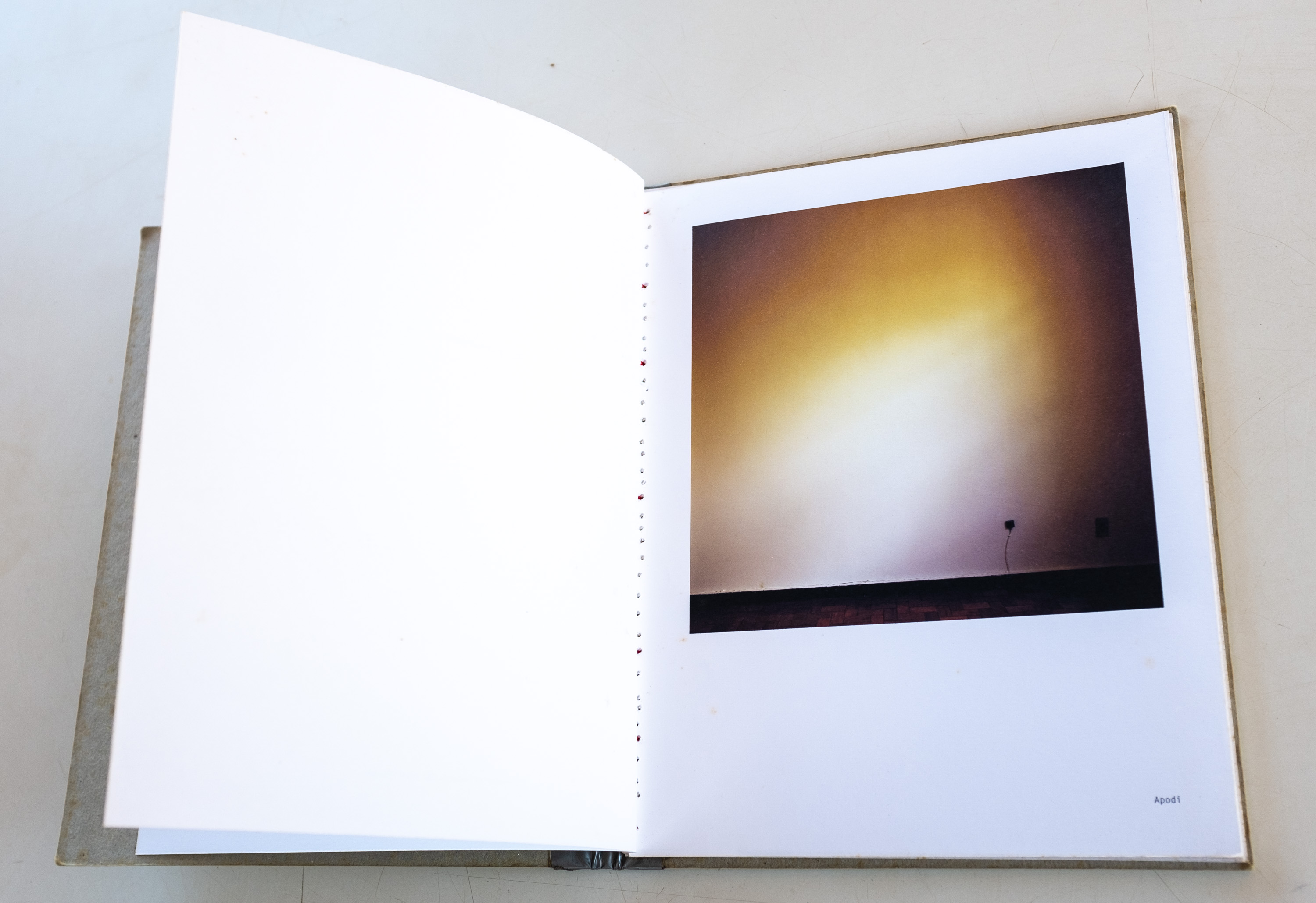 _PDD6260 - Pedro David.jpg