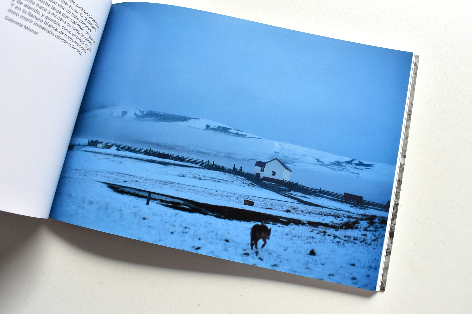 Patagonia ok (27).JPG