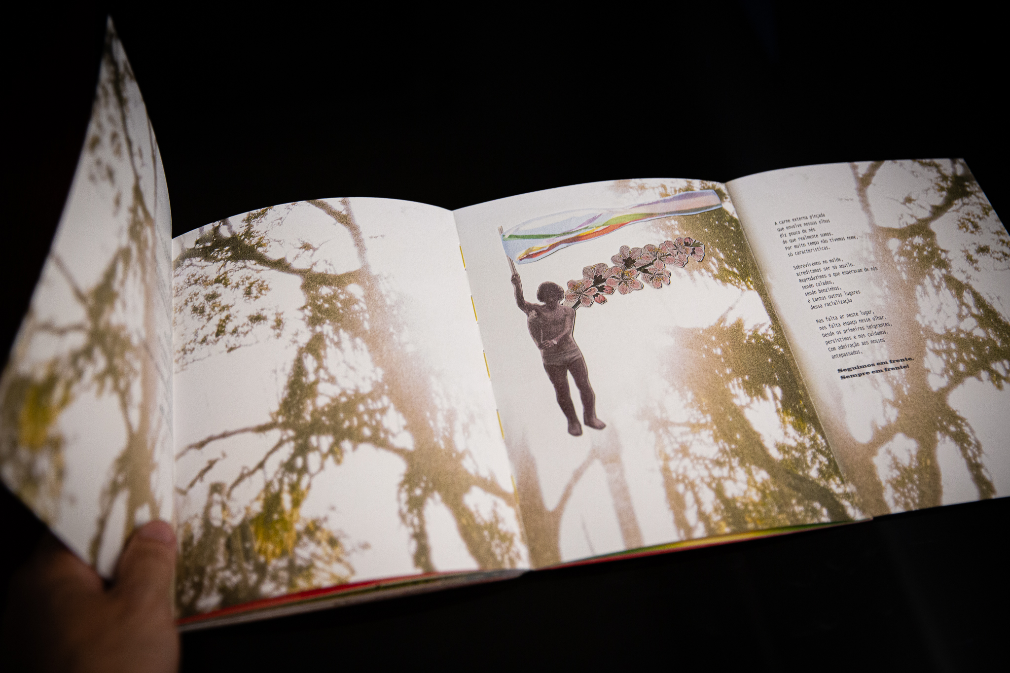 Fujikawa-67 - Henrique Fujikawa.jpg