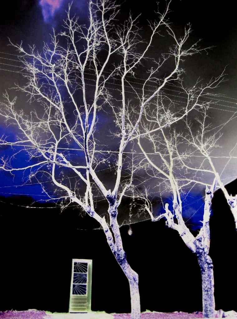 Betinha Trevisan (3).jpg