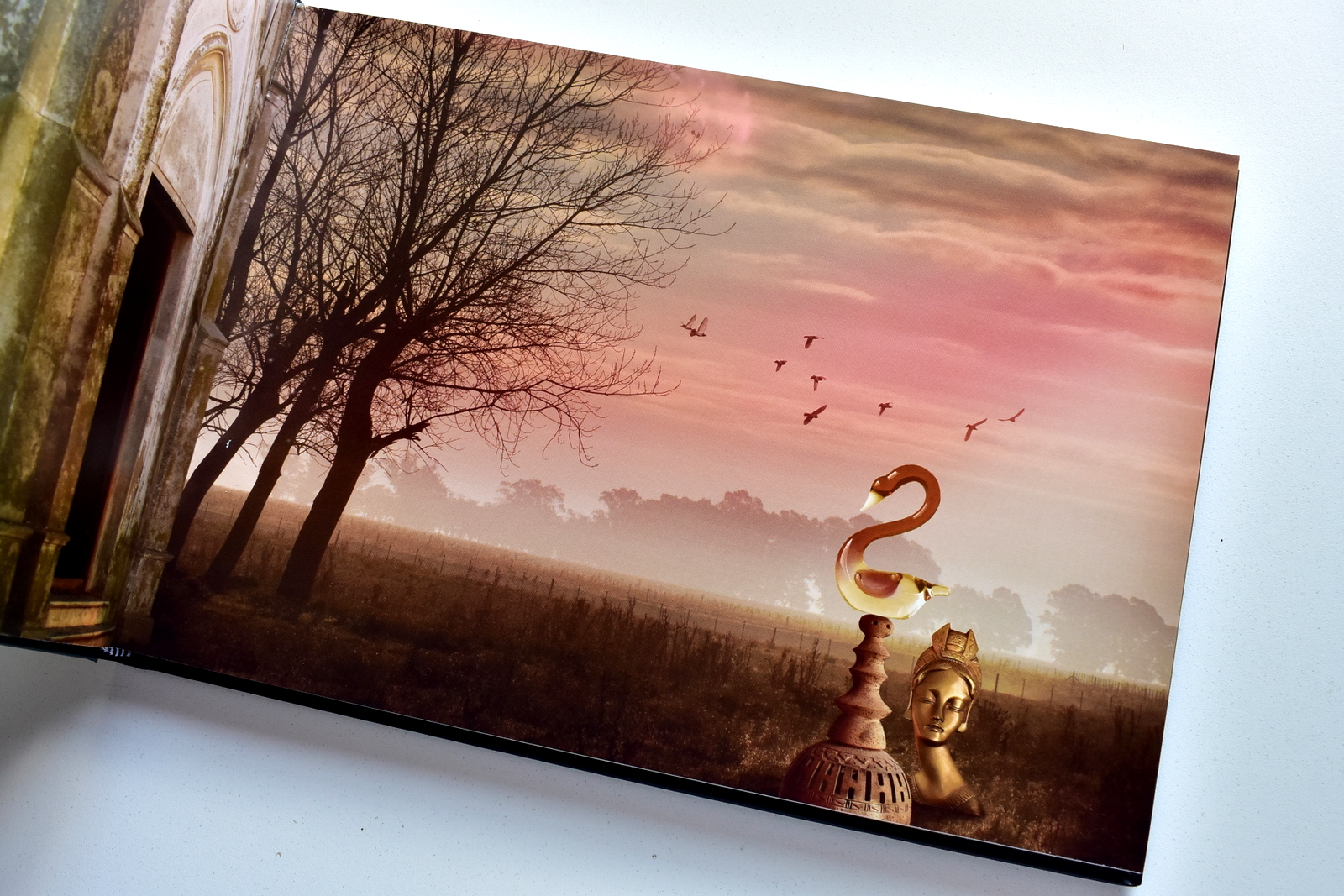 Lo propio, la adoración.. (4).JPG