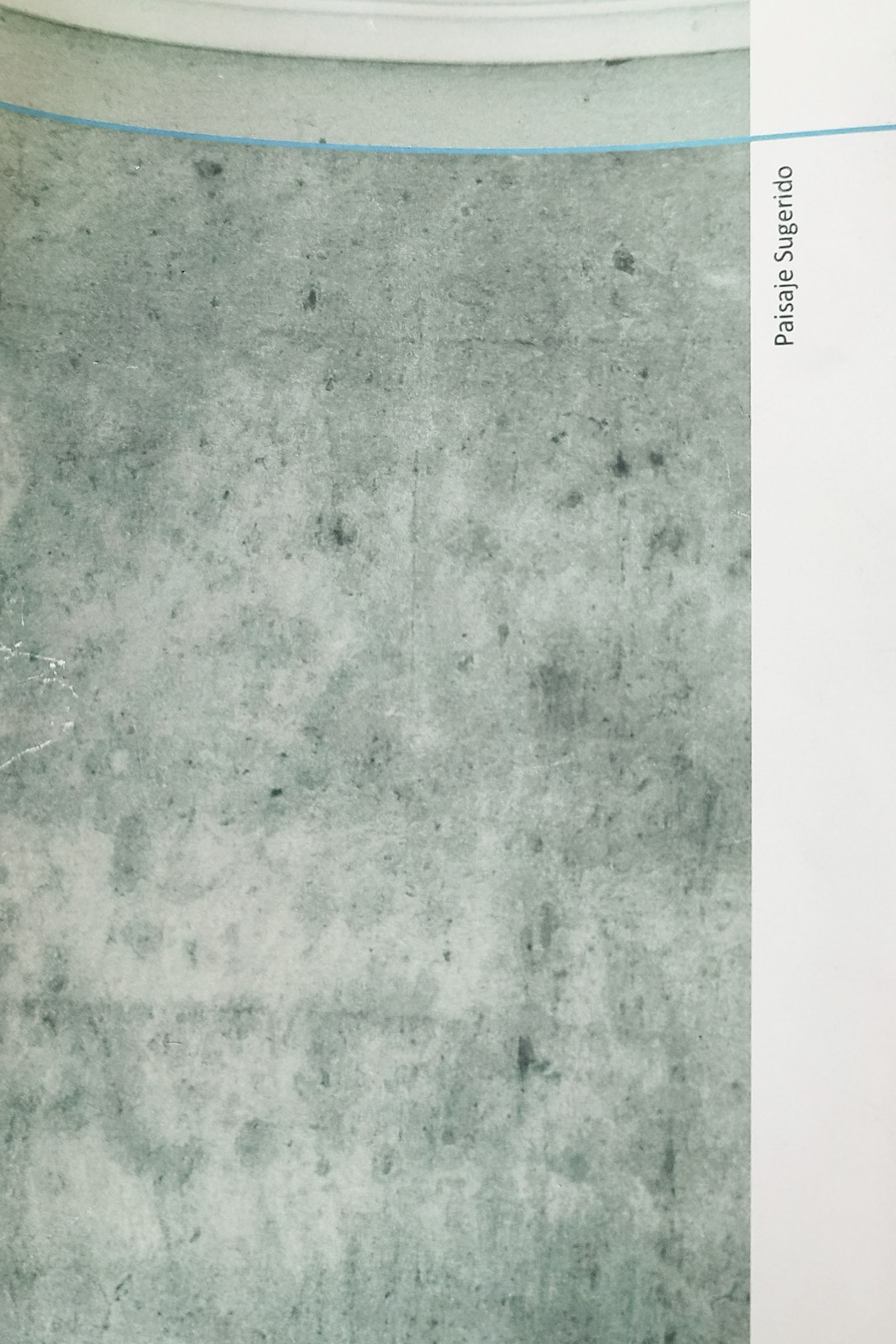 maqueta paisaje sugerido (6) - Tatiana Alfaro.jpg