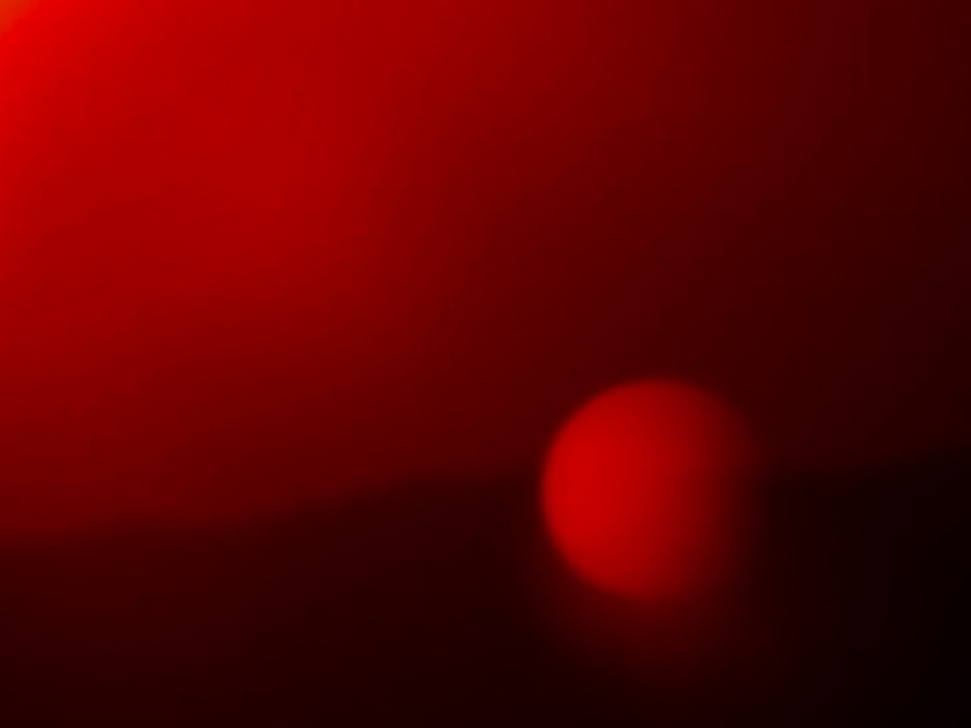 Zeila Sardá_06_vermelho.jpg