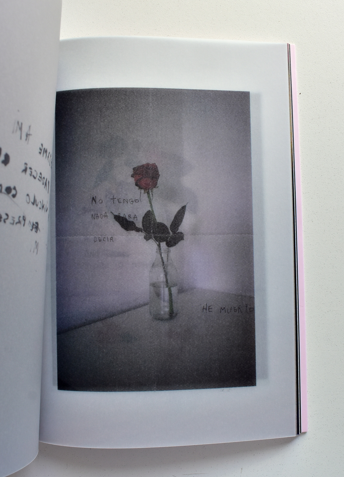 Samall scarse (9).JPG