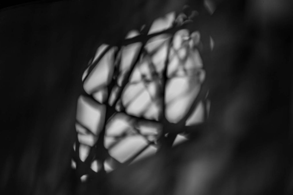 G - Claudia Bonder.jpg