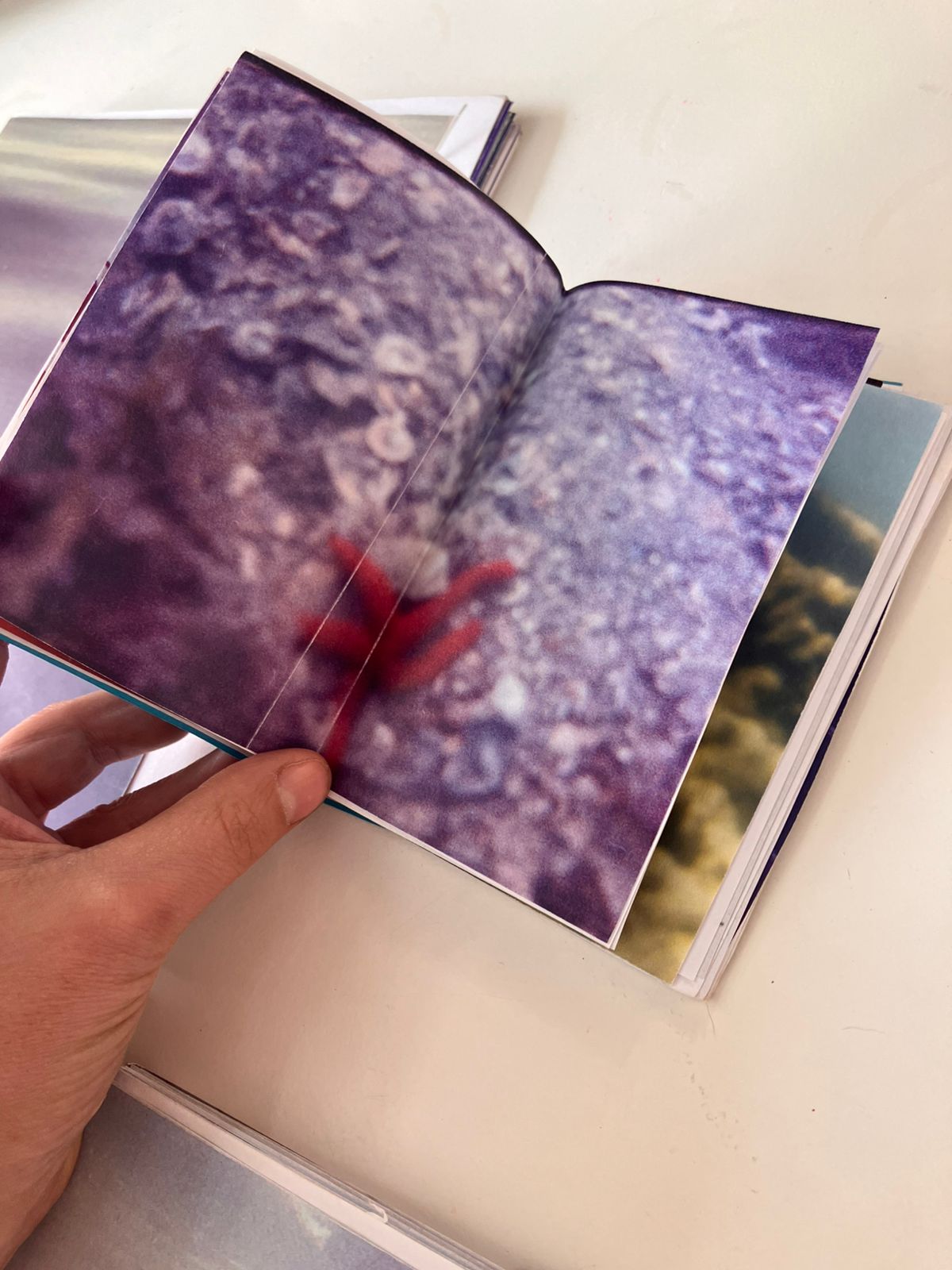 WhatsApp Image 2025-09-24 at 12.41.35 PM - Flor Aletta.jpeg