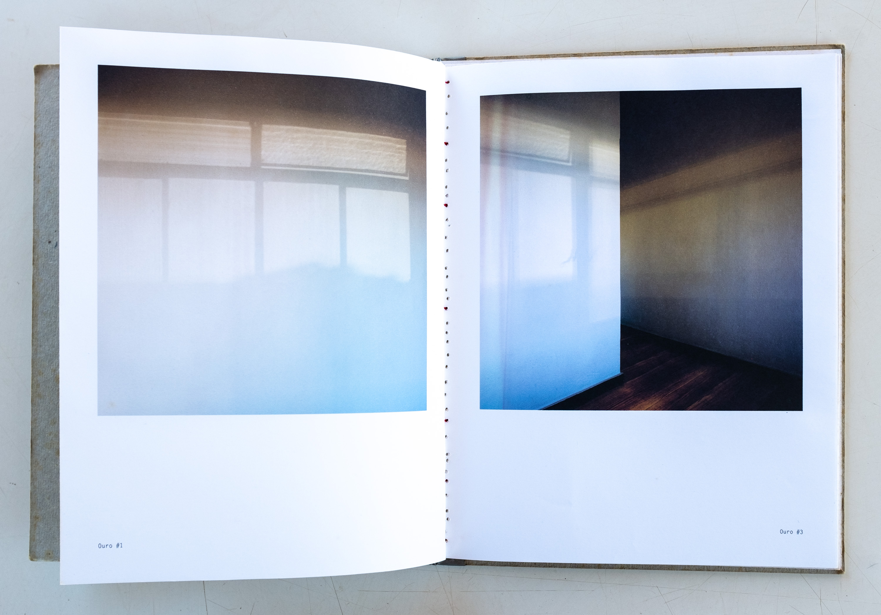 _PDD6262 - Pedro David.jpg